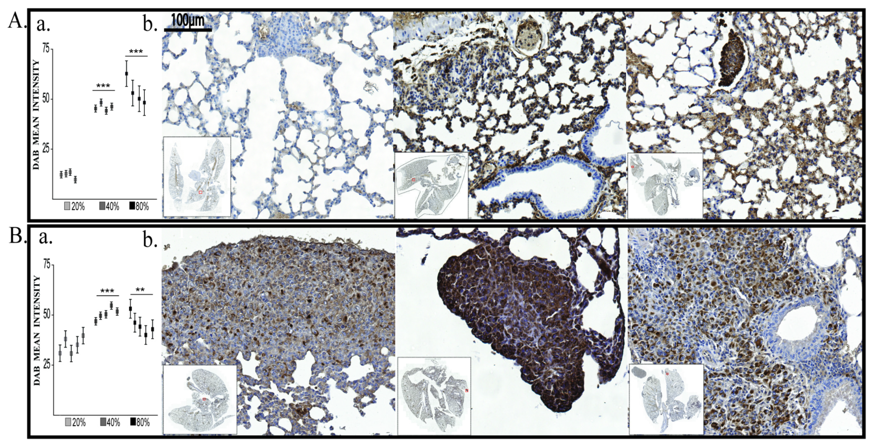 Cancers 12 00688 g011 Cancers 12 00688 g011