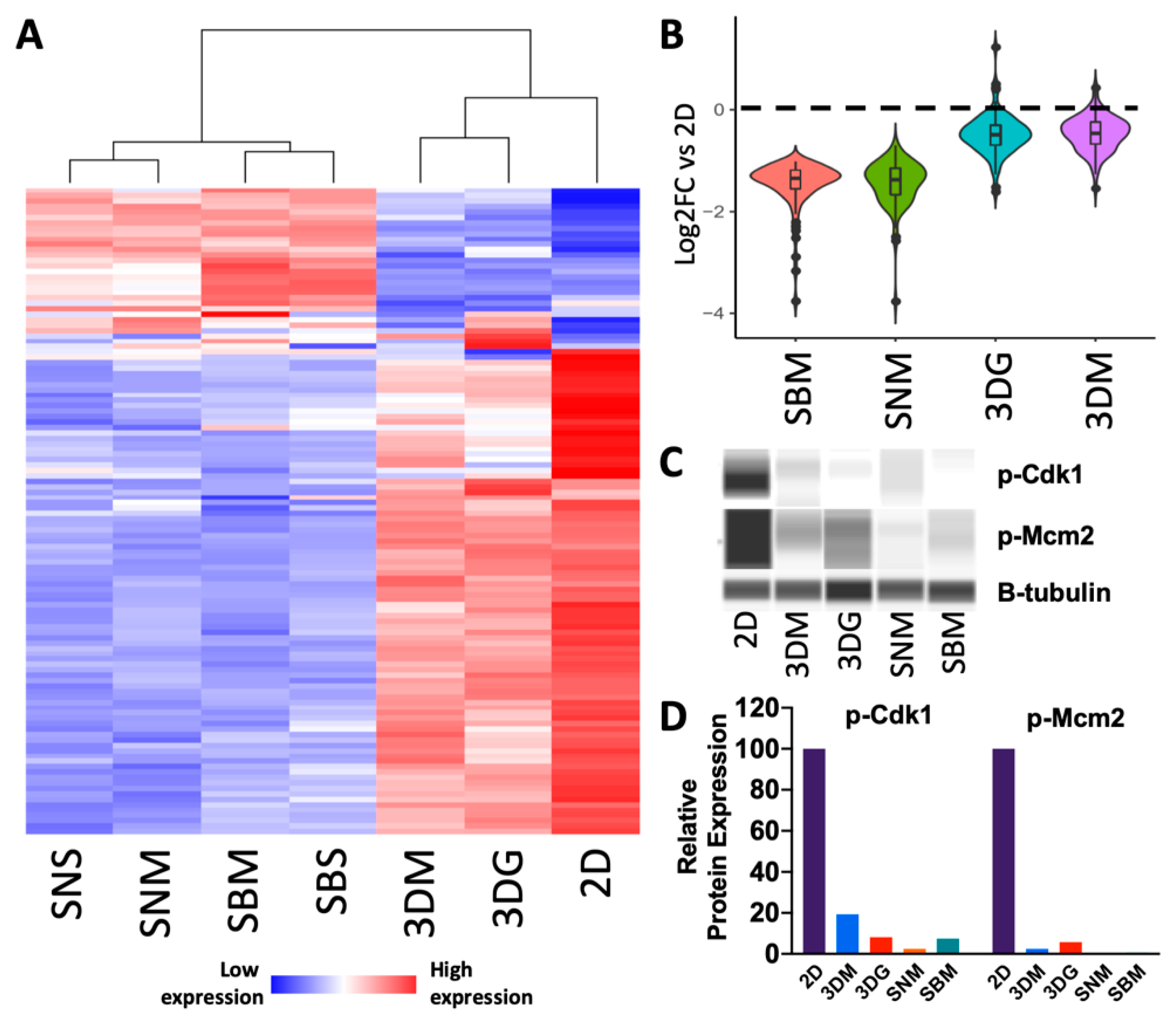 Cancers 12 00690 g003 Cancers 12 00690 g003
