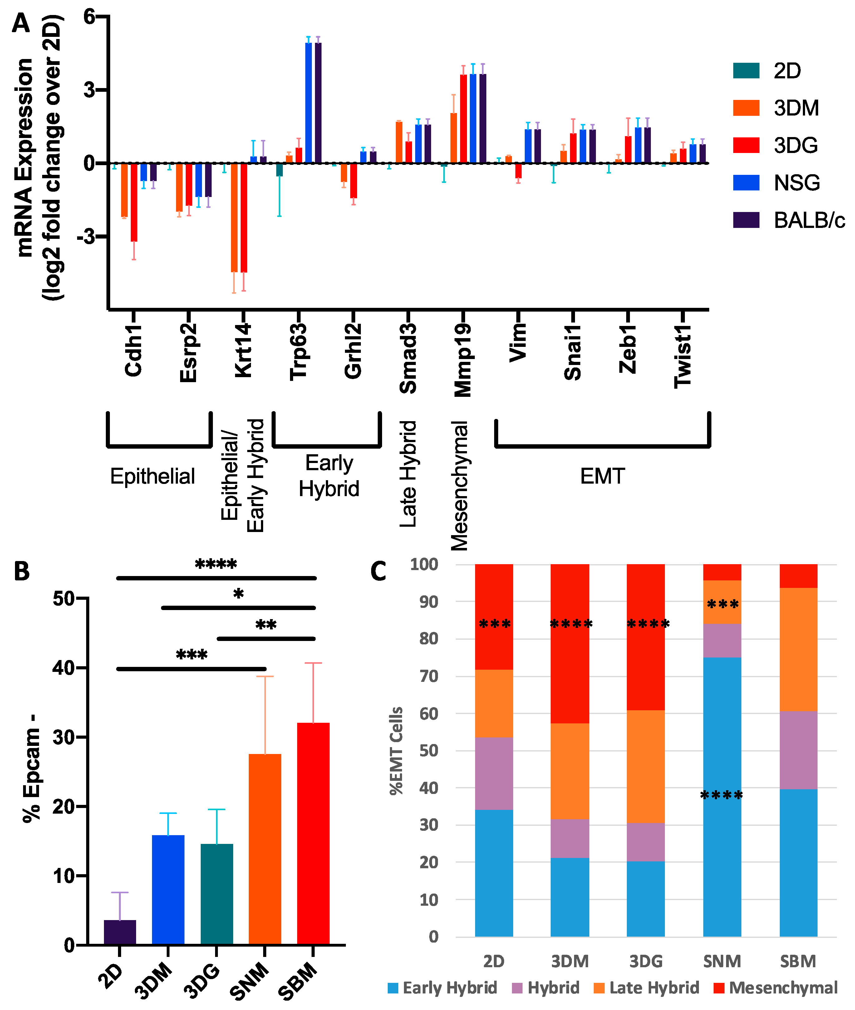 Cancers 12 00690 g006 Cancers 12 00690 g006