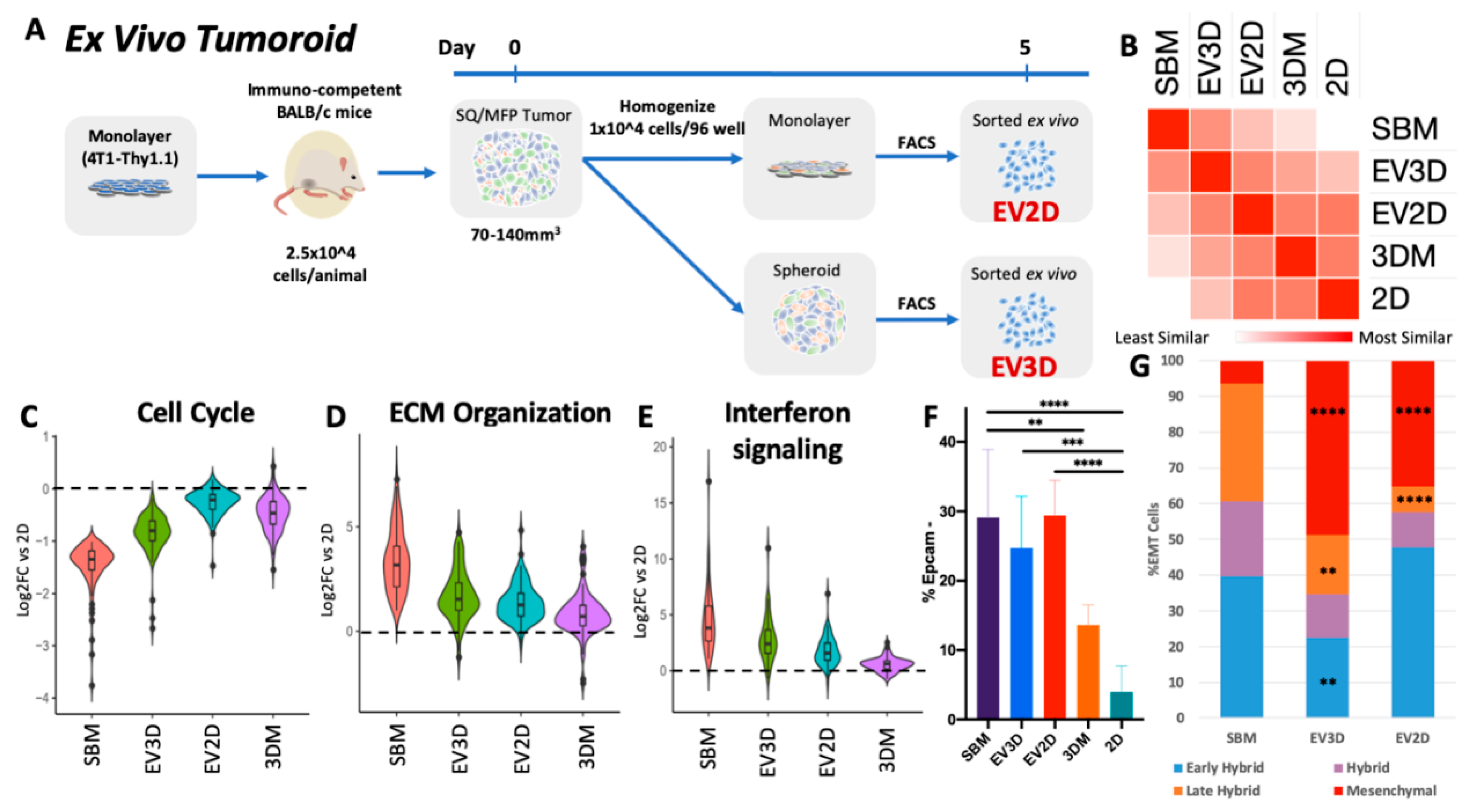 Cancers 12 00690 g007 Cancers 12 00690 g007