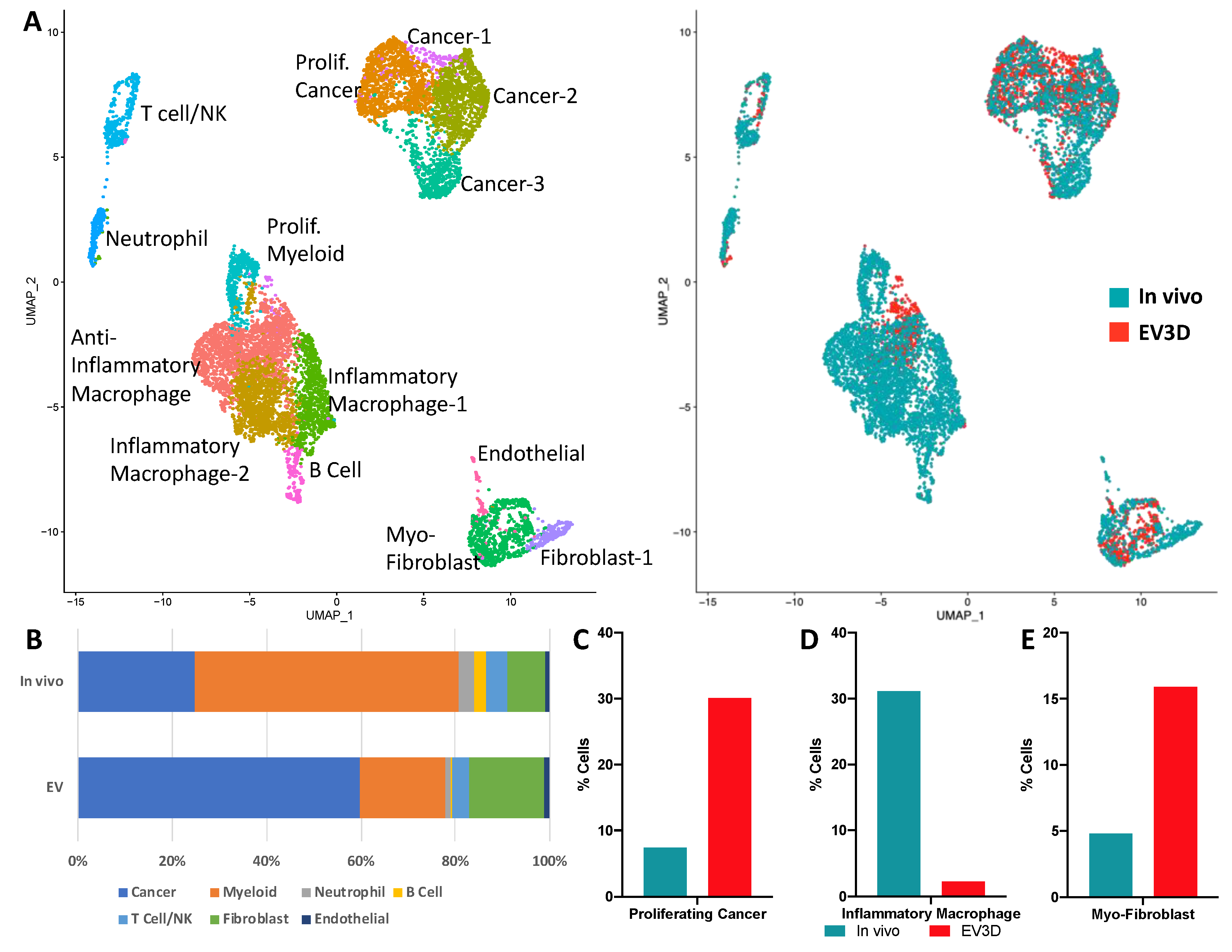 Cancers 12 00690 g008 Cancers 12 00690 g008