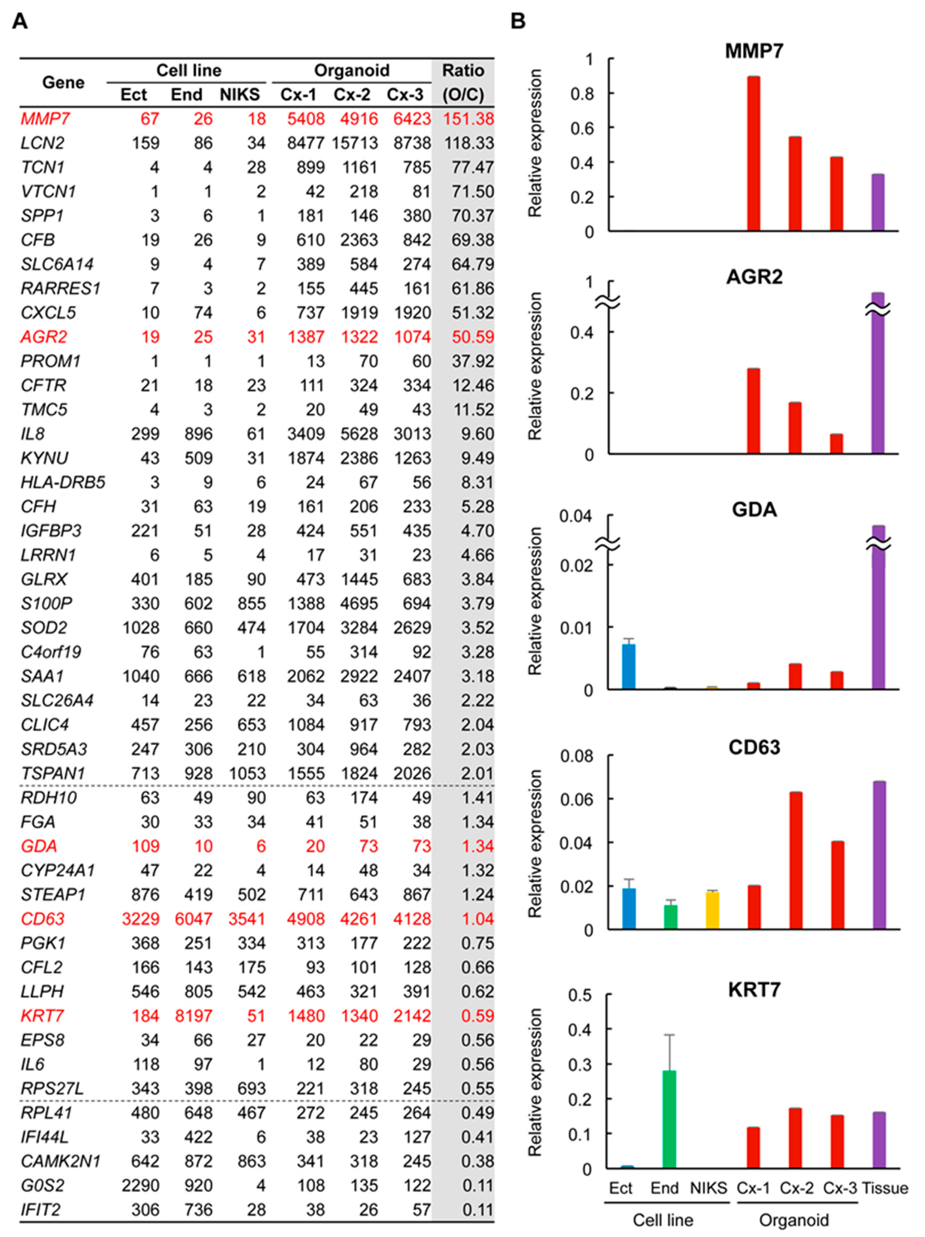 Cancers 12 00694 g003
