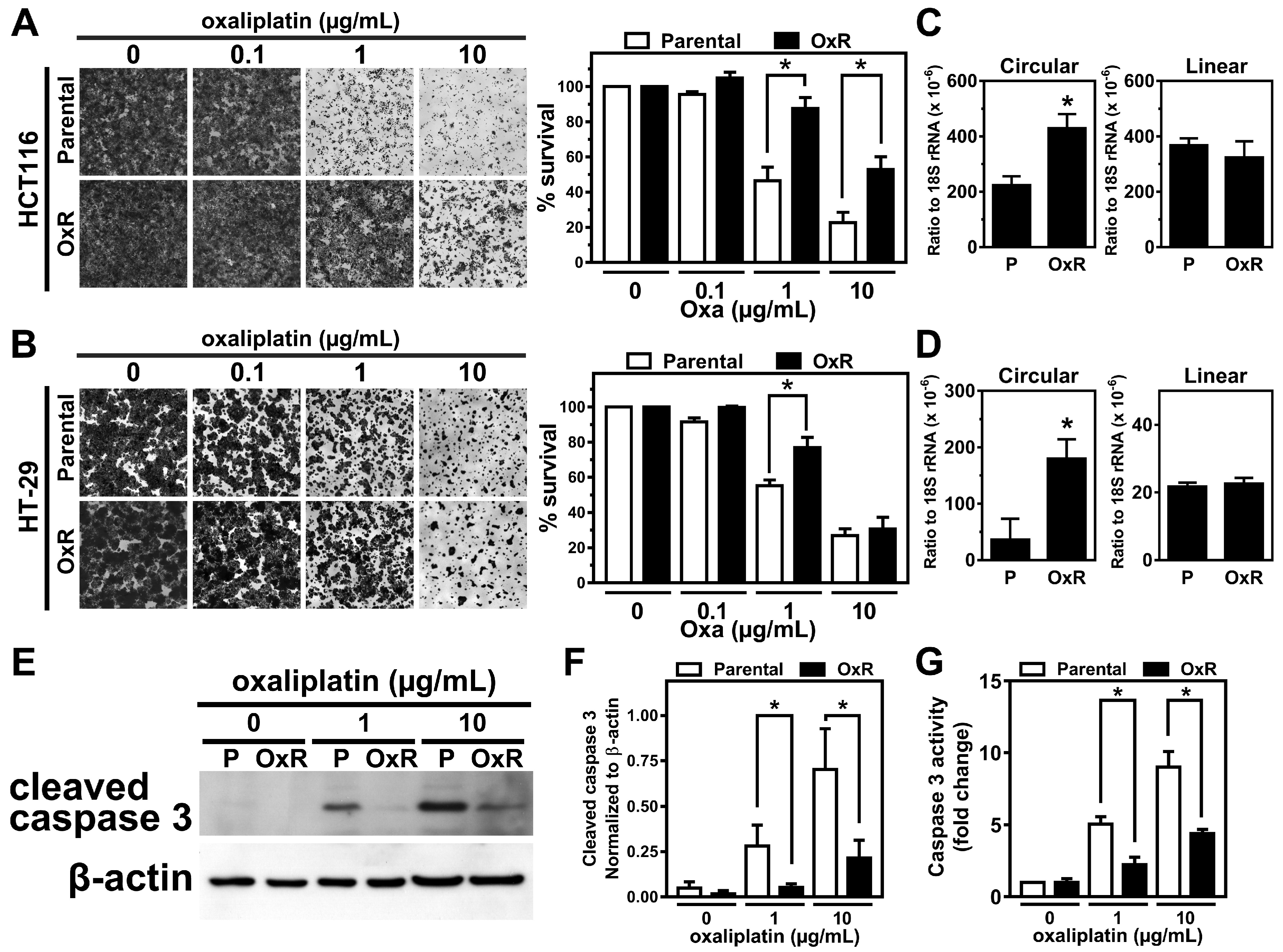 Cancers 12 00697 g001 Cancers 12 00697 g001