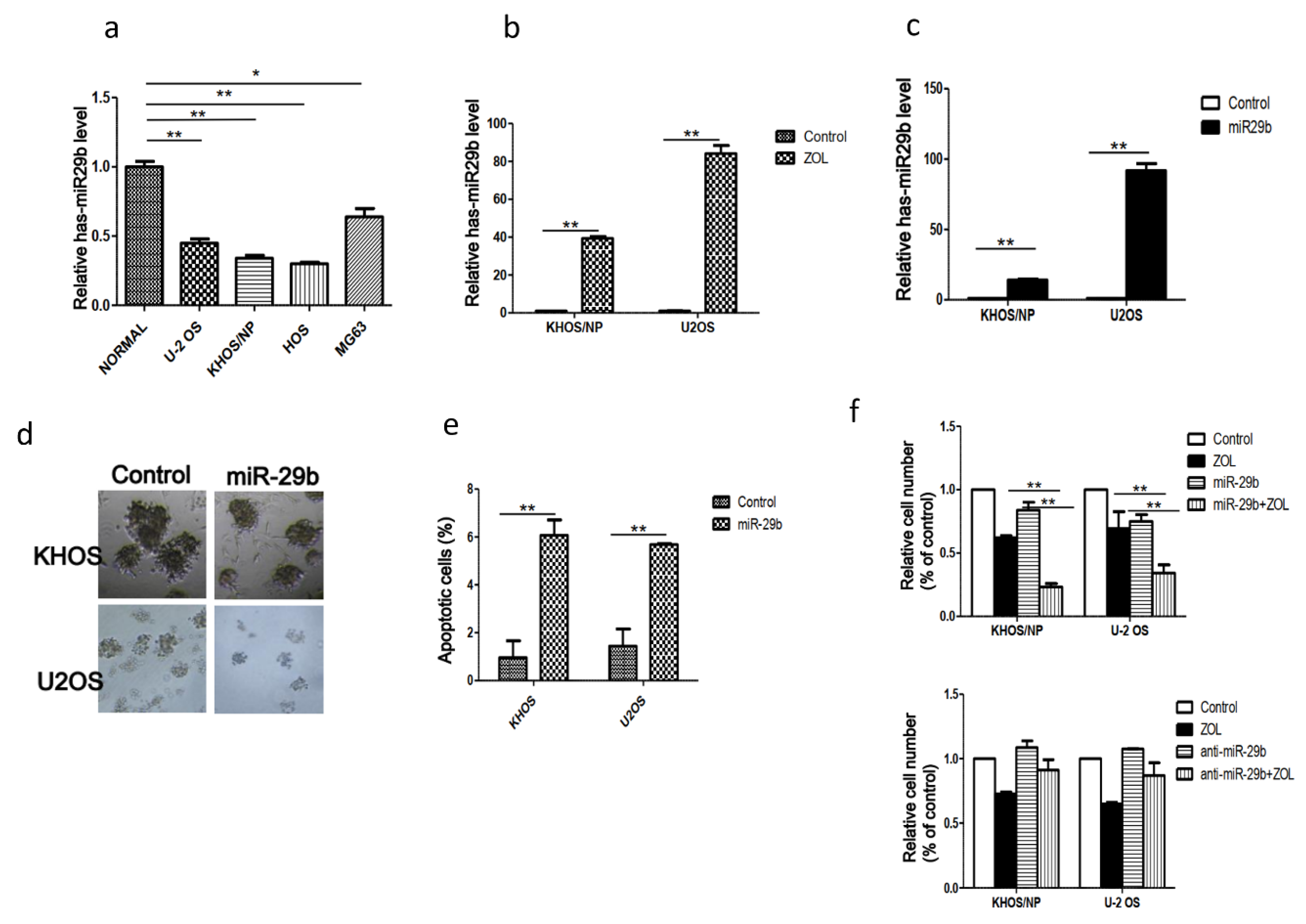 Cancers 12 00698 g001 Cancers 12 00698 g001
