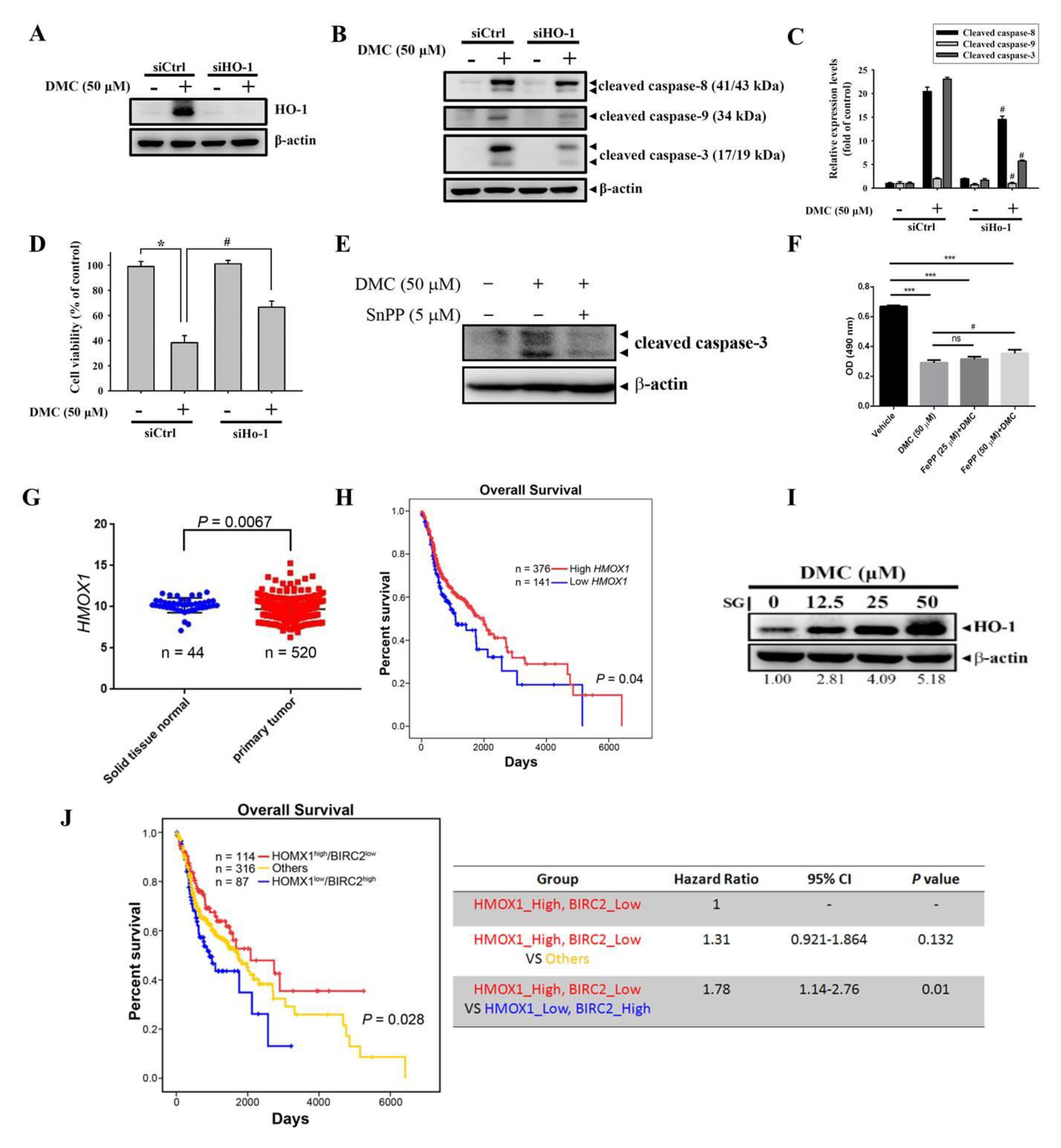 Cancers 12 00703 g004