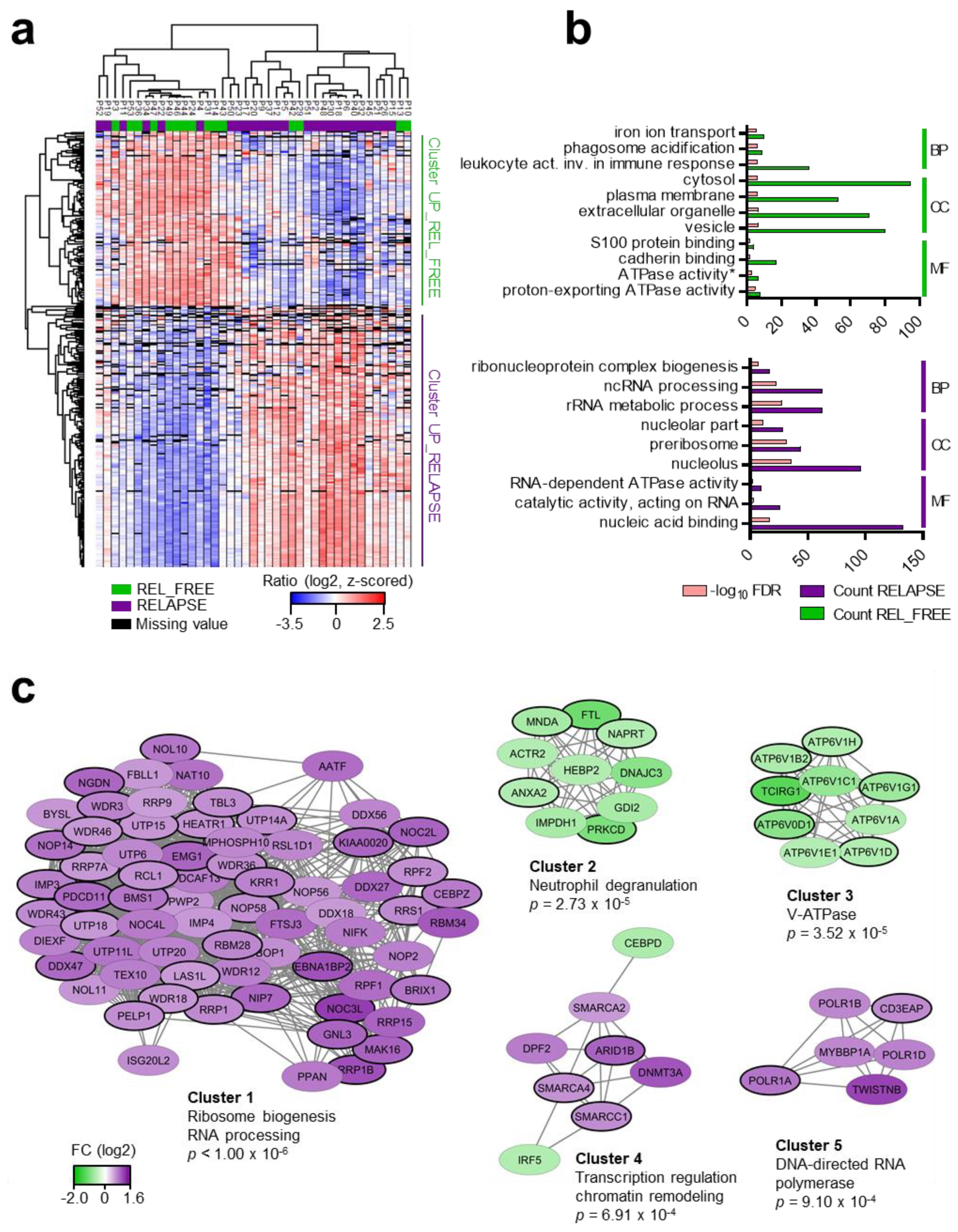 Cancers 12 00709 g002