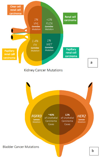 Cancers Free Full Text Cancer Genetics And Therapeutic Opportunities In Urologic Practice Html