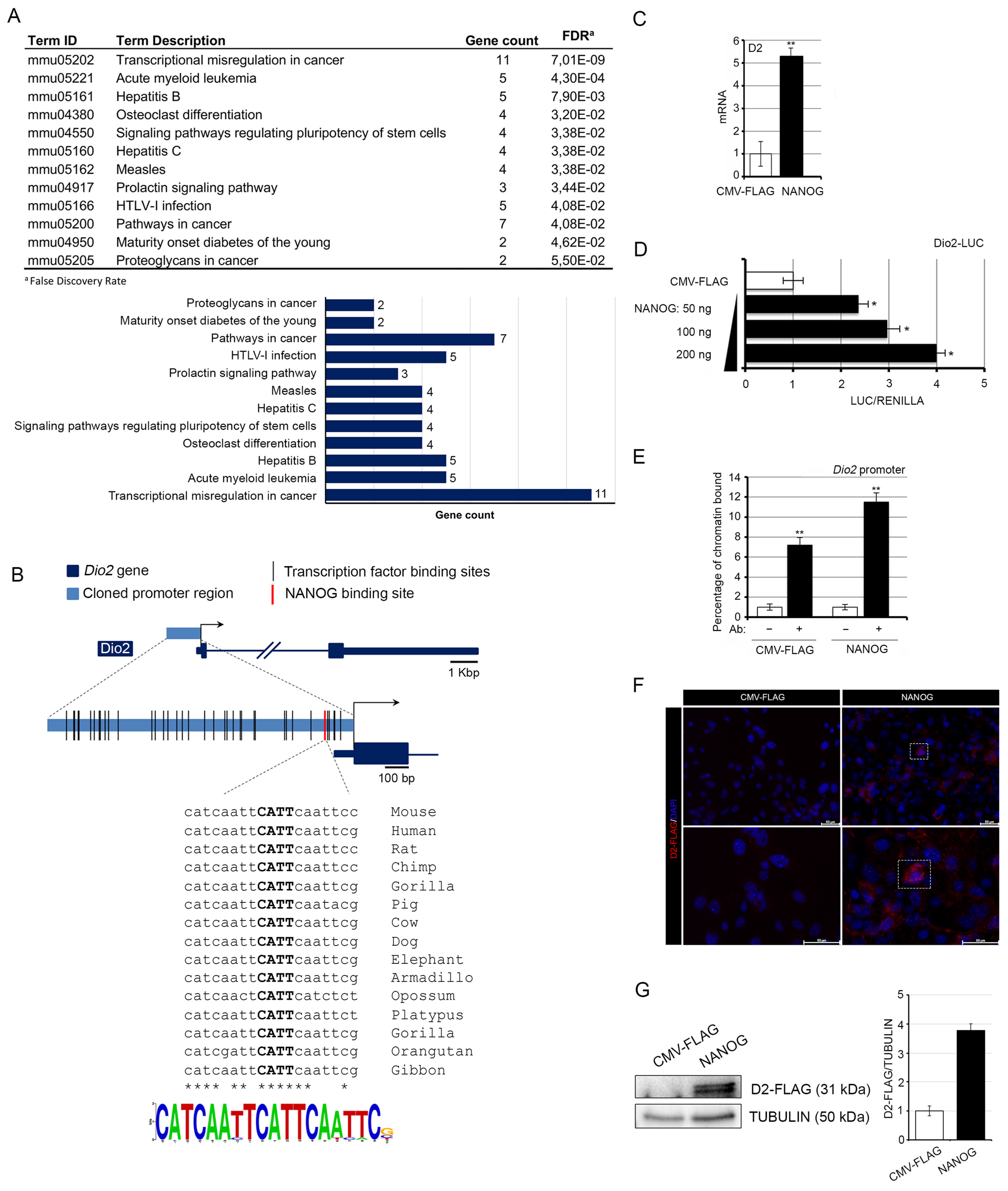 Cancers 12 00715 g001 Cancers 12 00715 g001