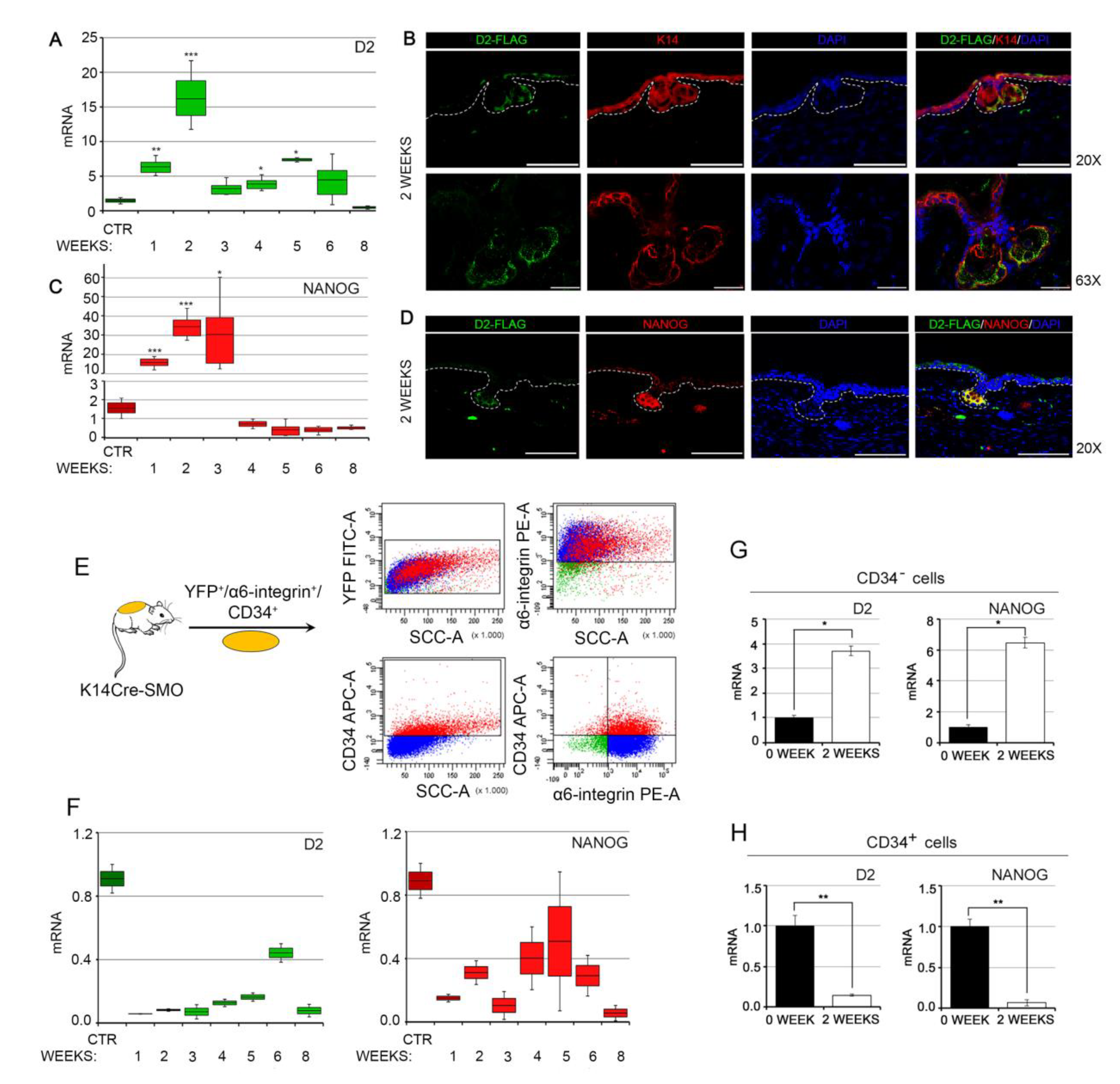 Cancers 12 00715 g003 Cancers 12 00715 g003