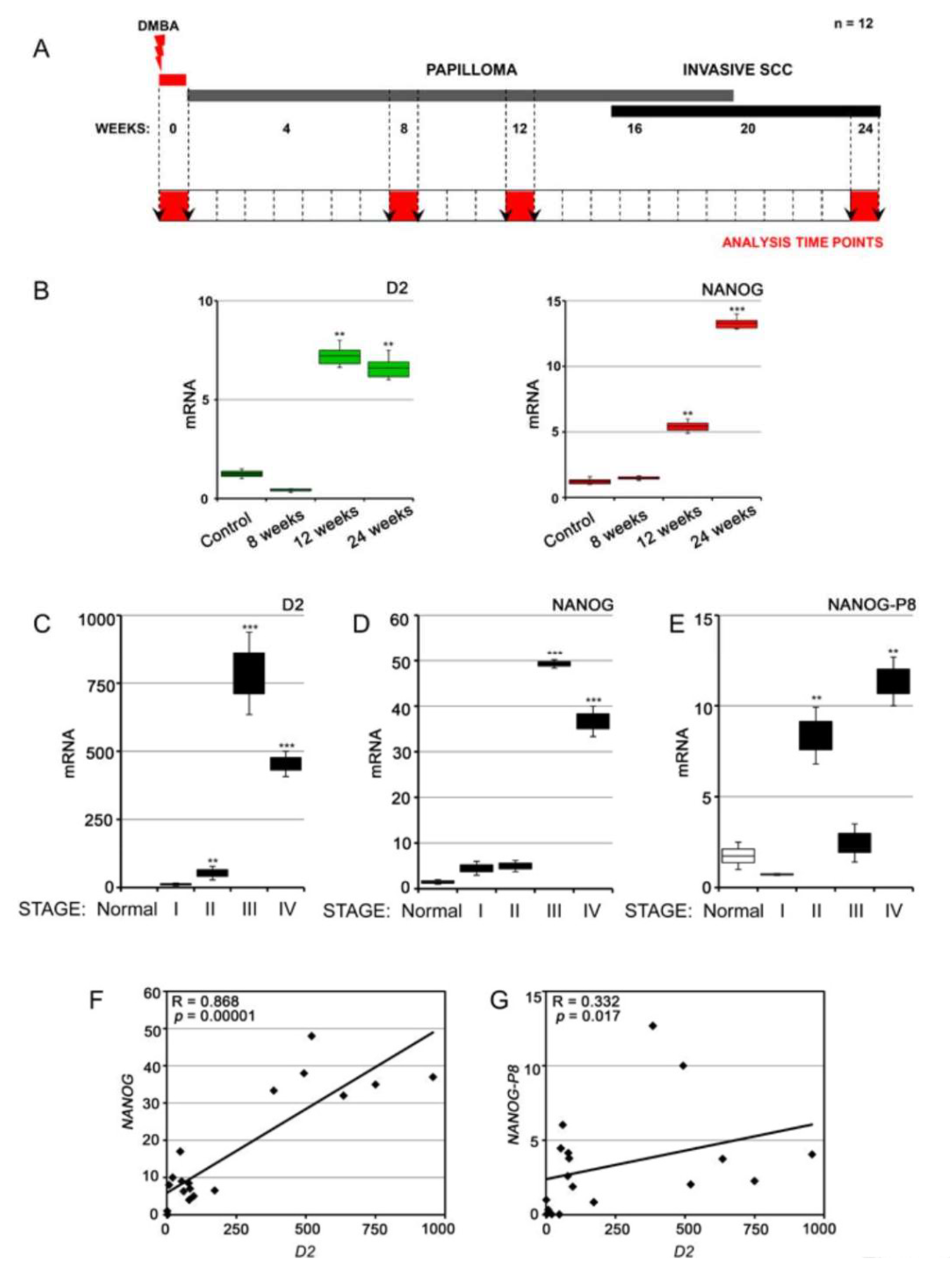 Cancers 12 00715 g004 Cancers 12 00715 g004