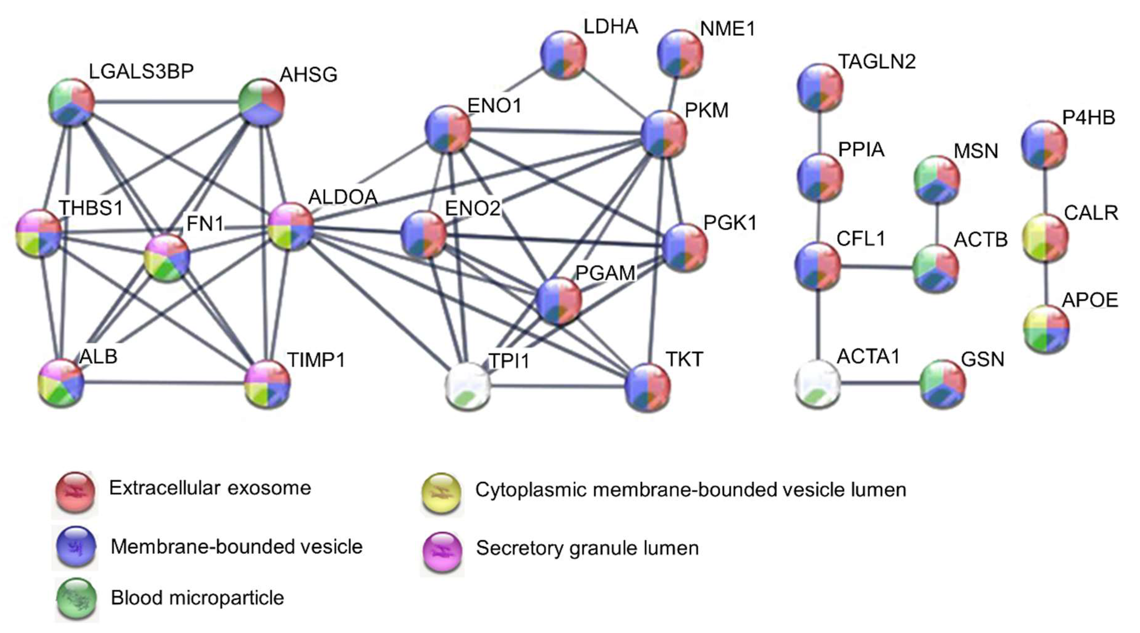 Cancers 12 00716 g003 Cancers 12 00716 g003