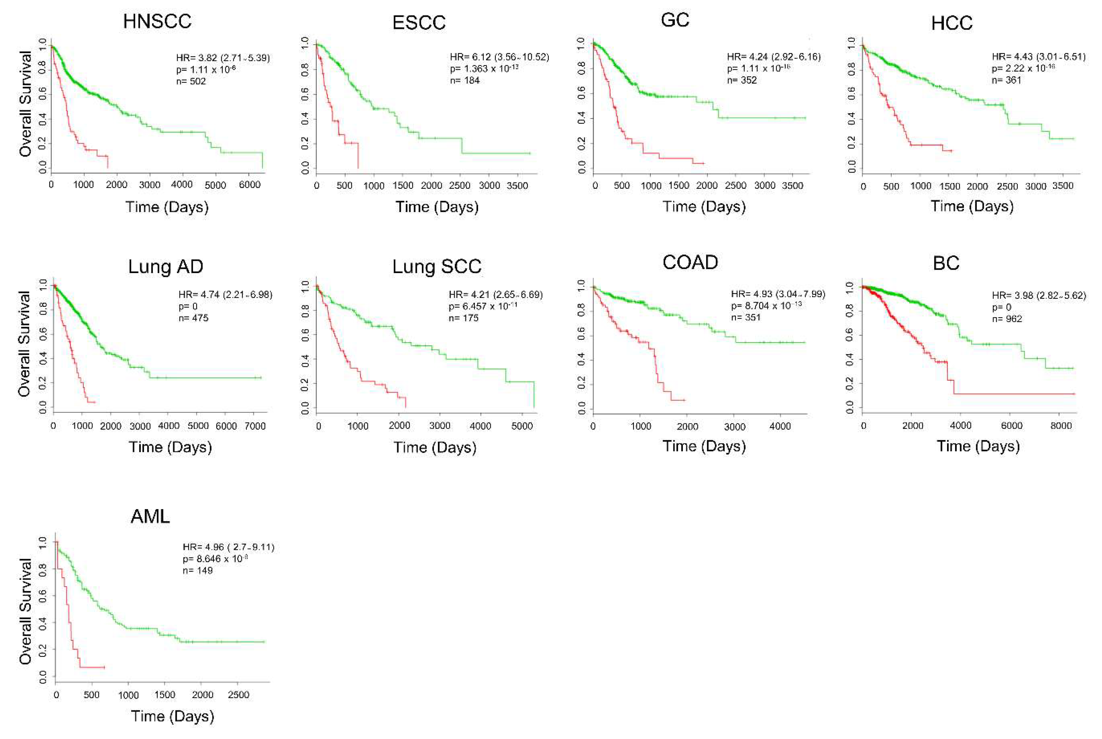Cancers 12 00716 g007 Cancers 12 00716 g007