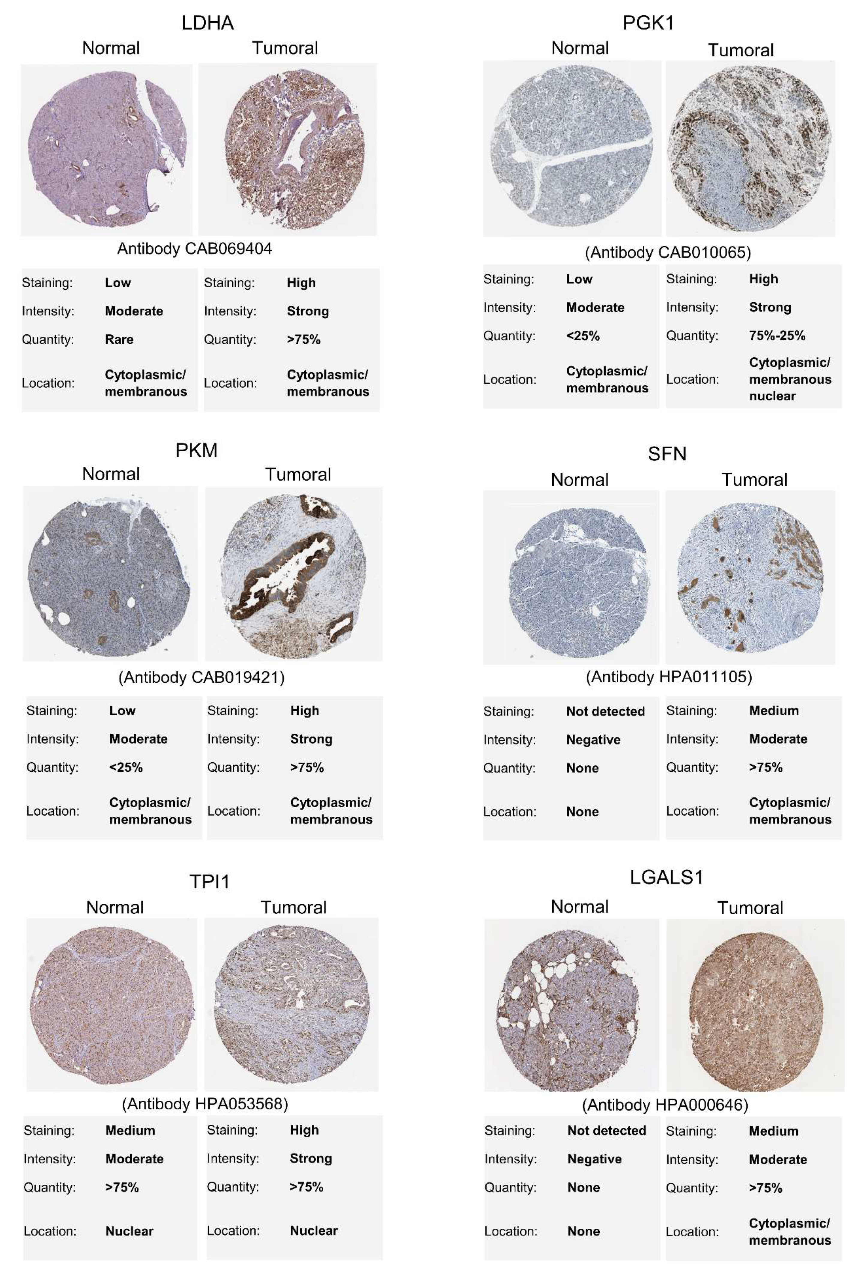Cancers 12 00716 g009 Cancers 12 00716 g009