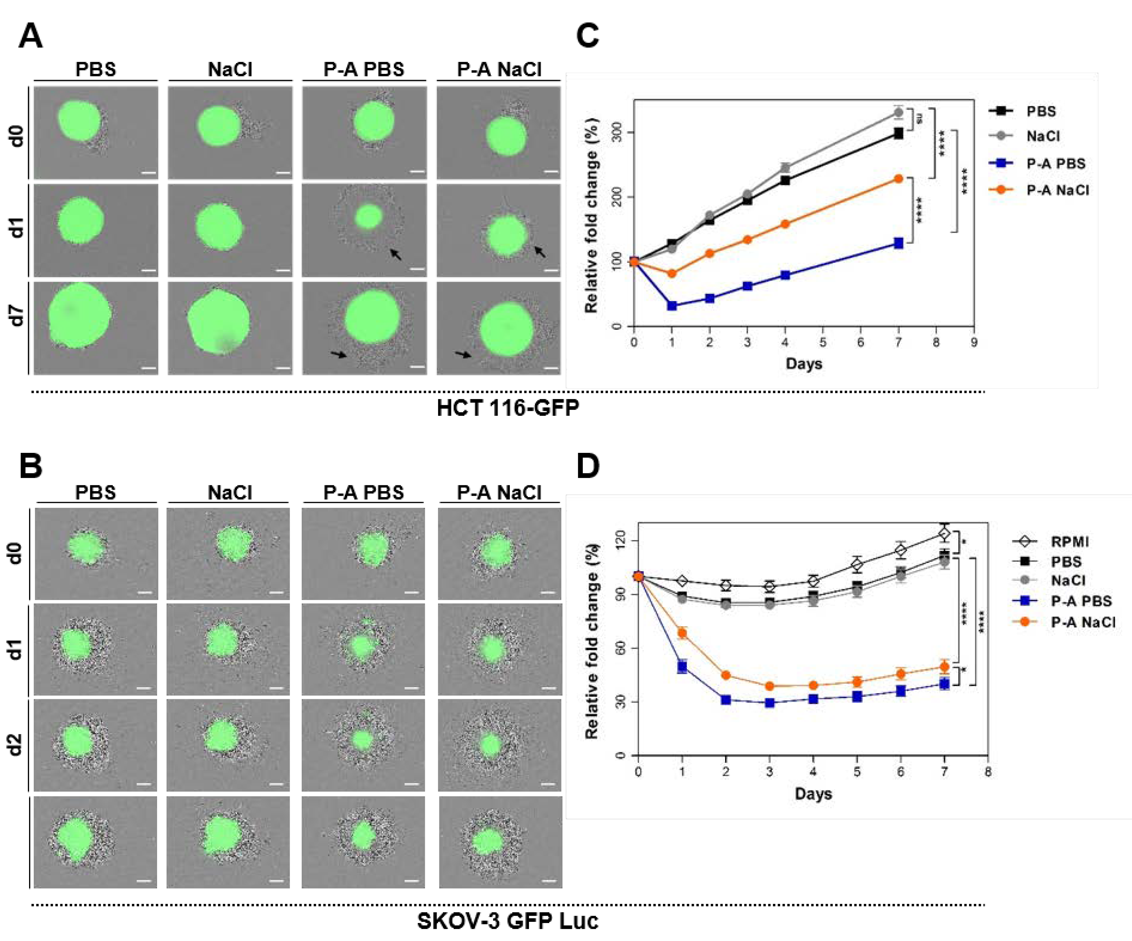 Cancers 12 00721 g001 Cancers 12 00721 g001
