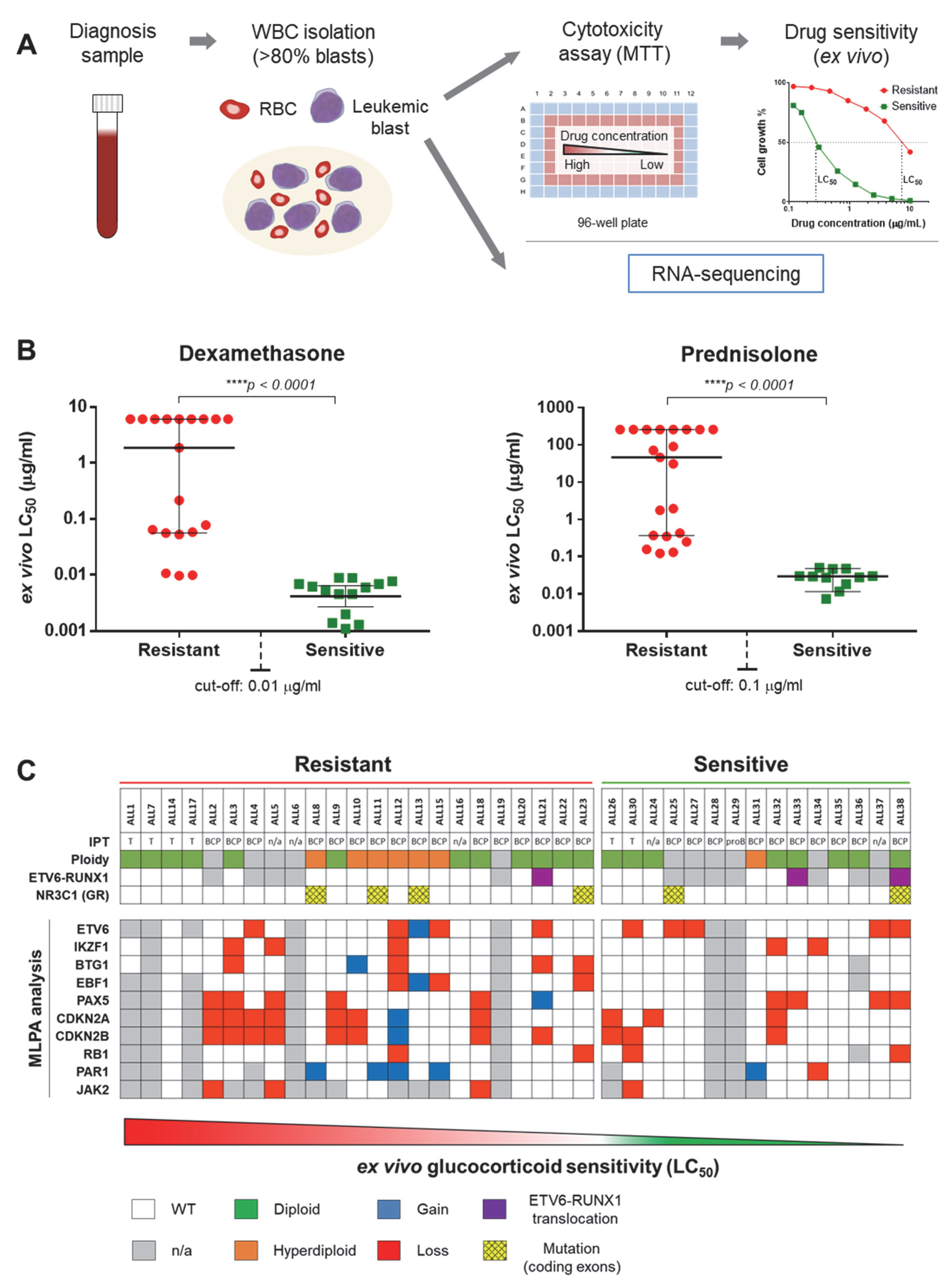 Cancers 12 00723 g001 Cancers 12 00723 g001