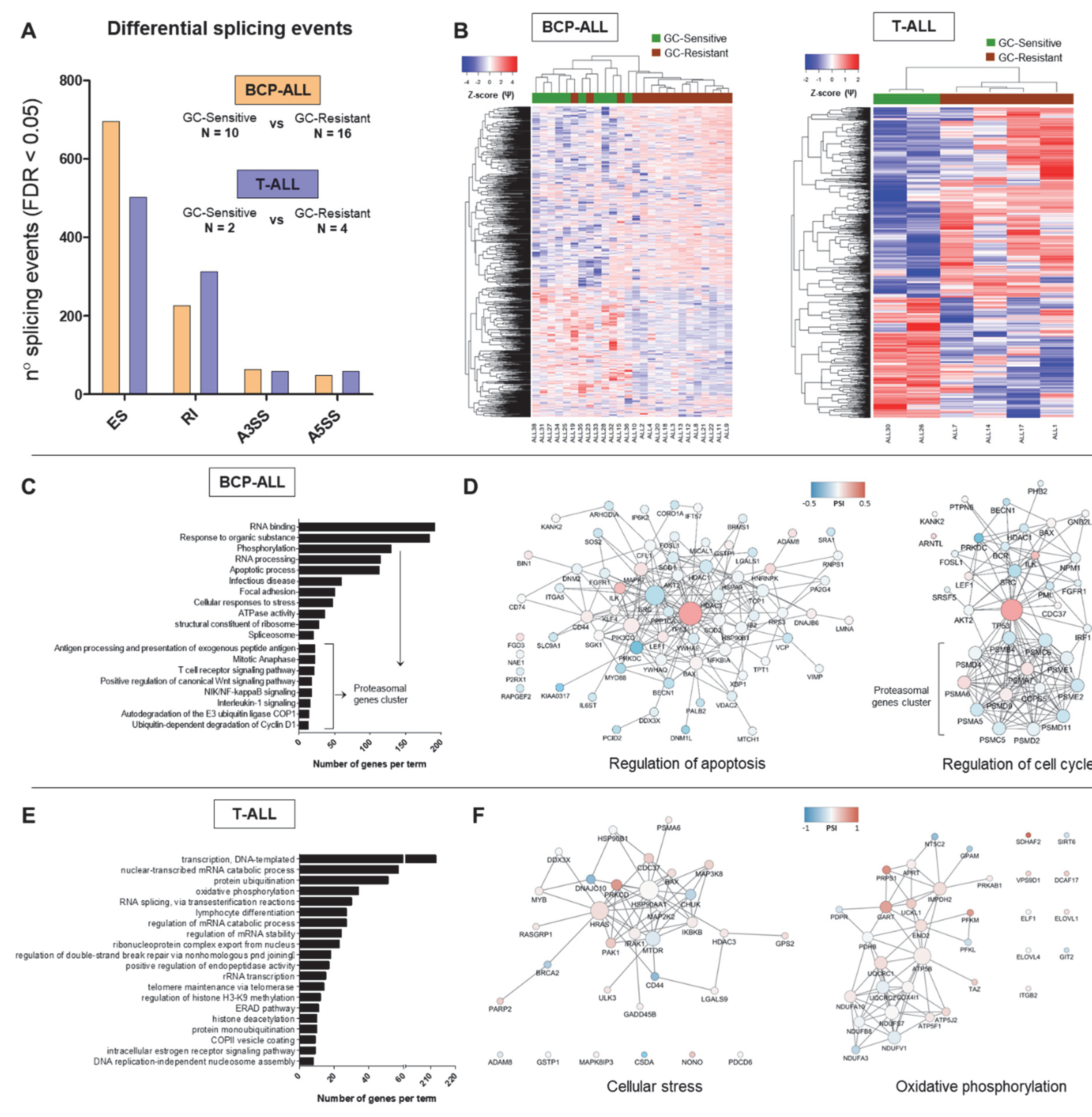 Cancers 12 00723 g003 Cancers 12 00723 g003
