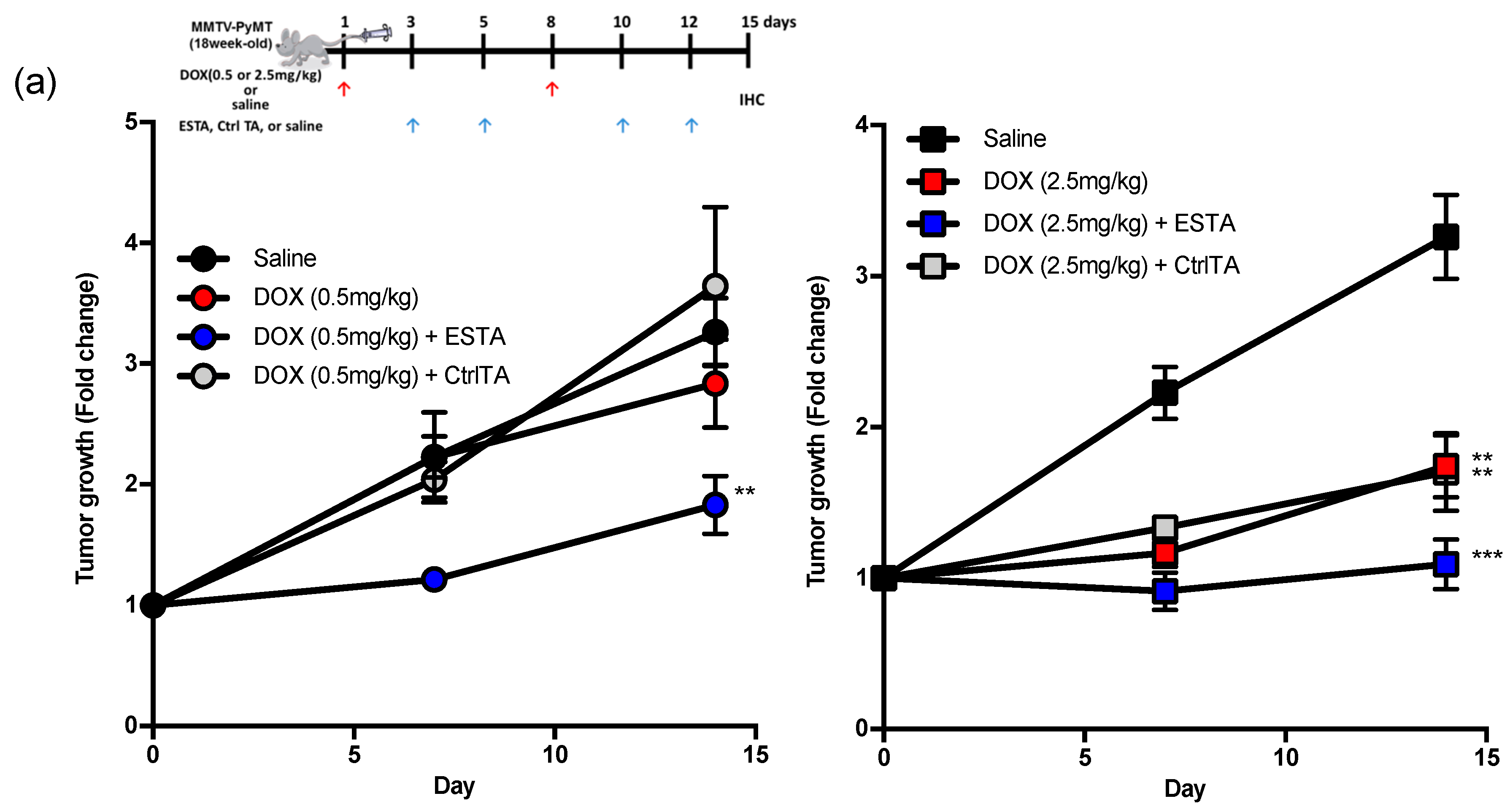 Cancers 12 00725 g003a