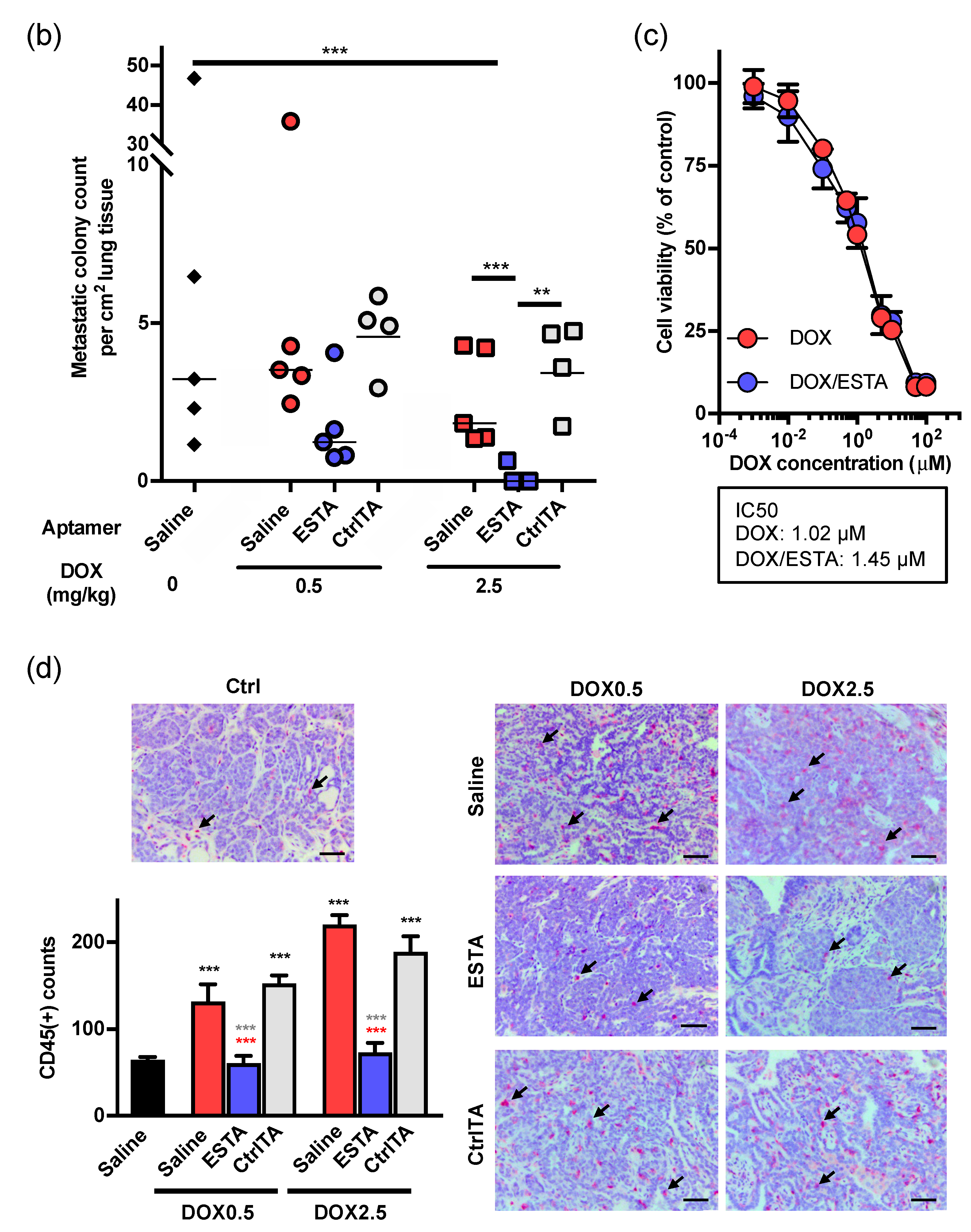 Cancers 12 00725 g003b