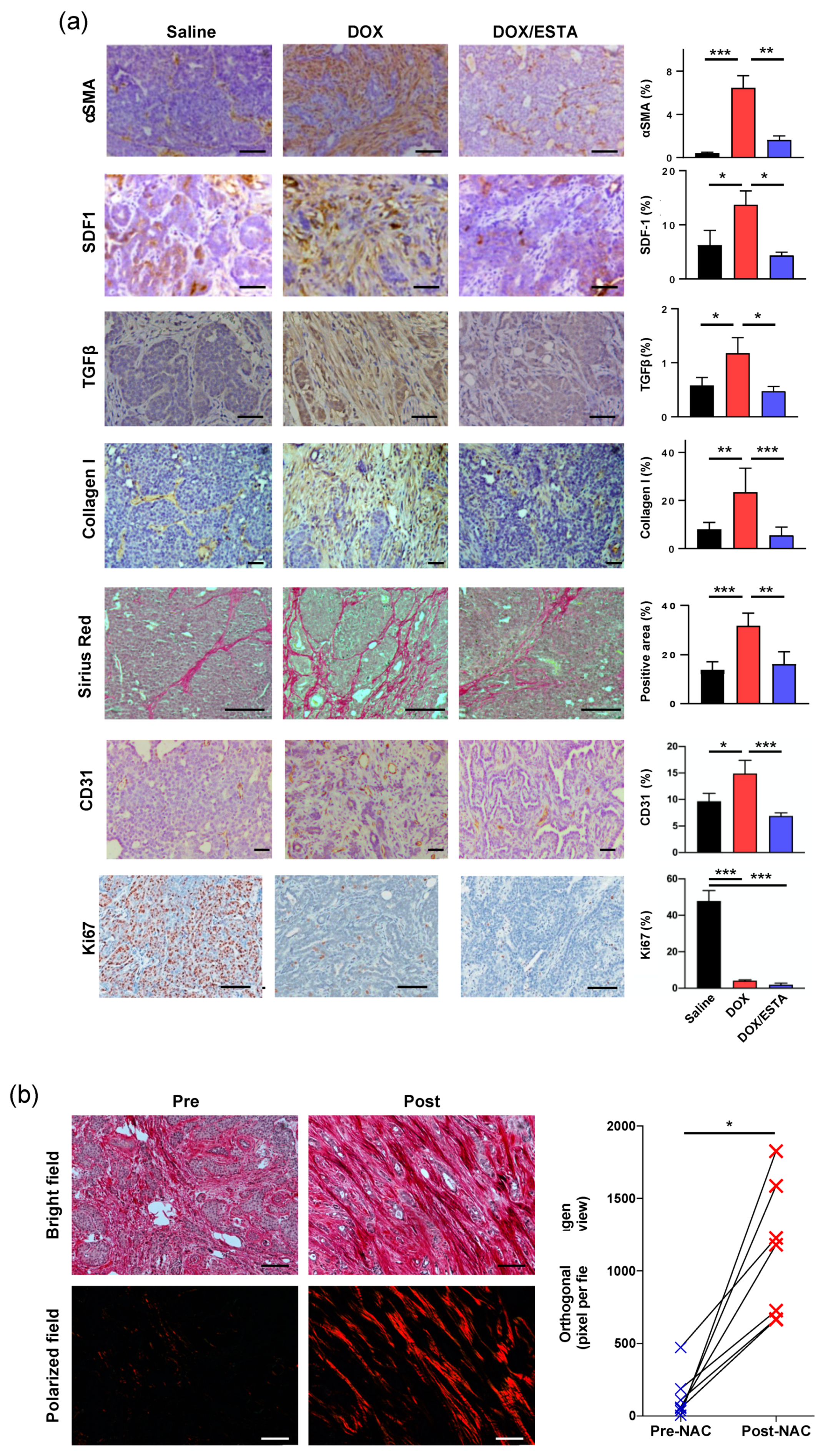 Cancers 12 00725 g005