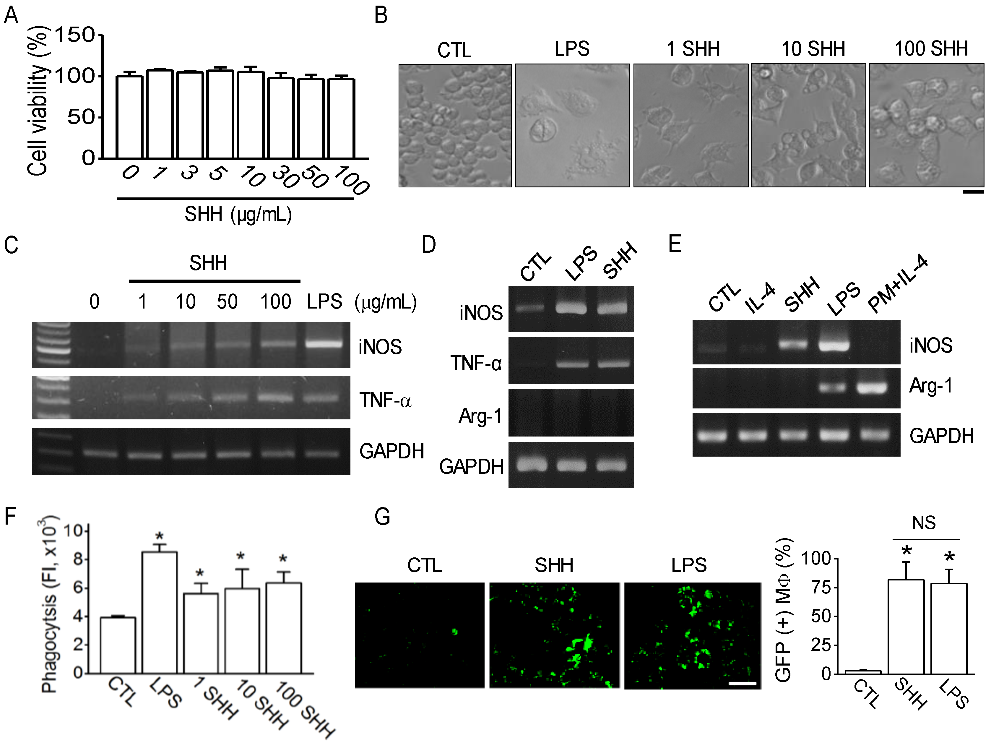 Cancers 12 00726 g001