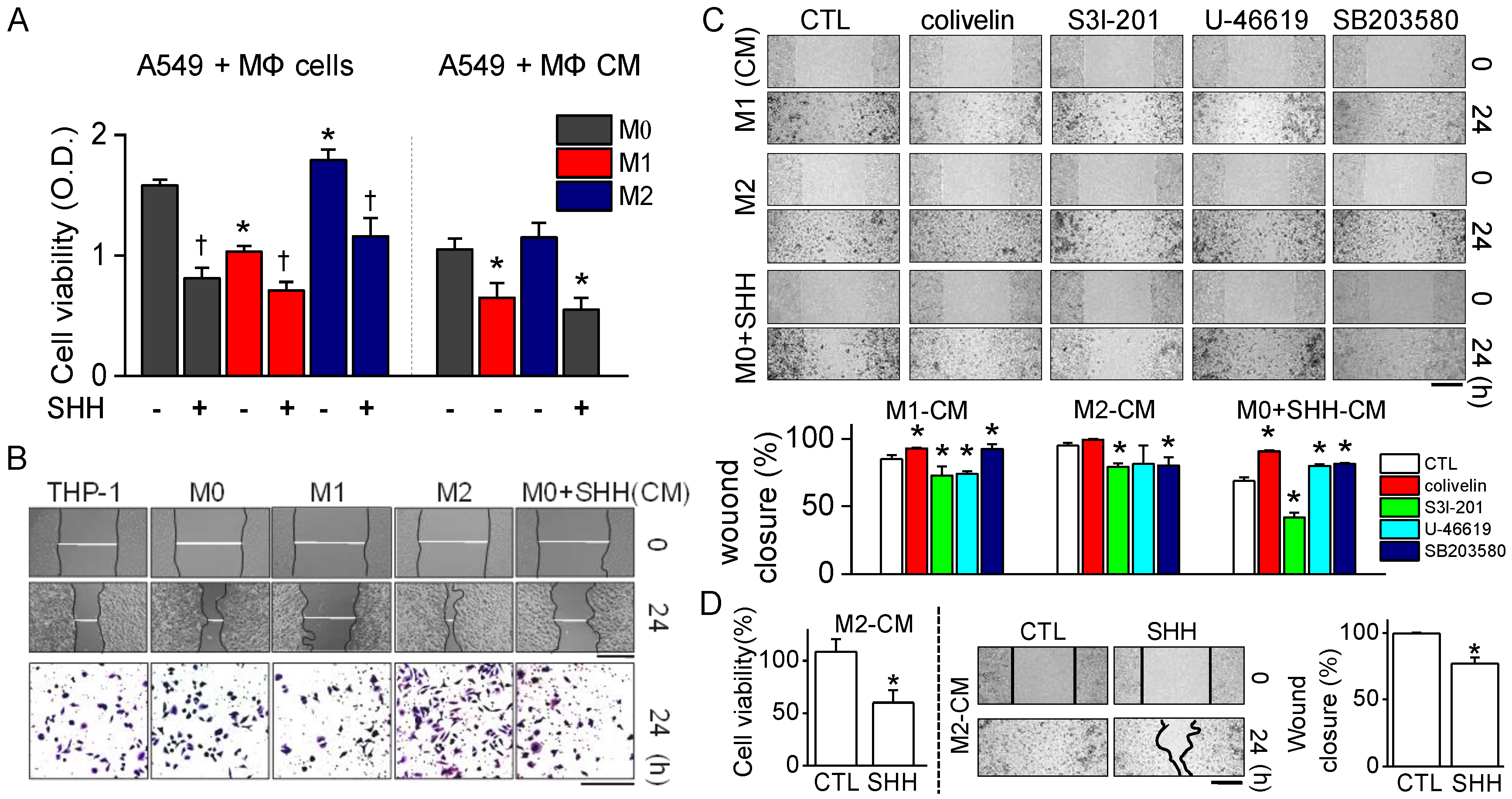 Cancers 12 00726 g004