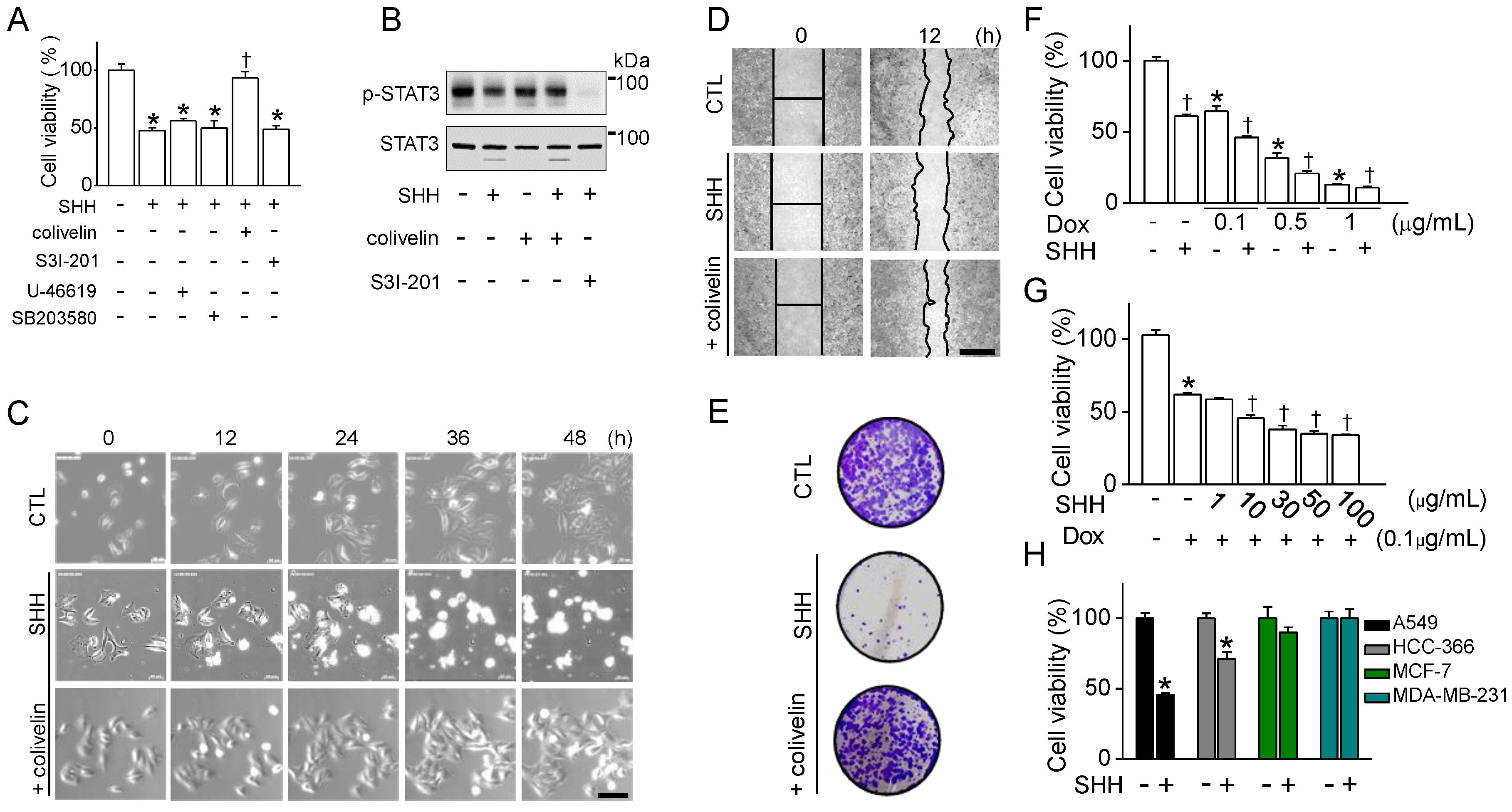 Cancers 12 00726 g006