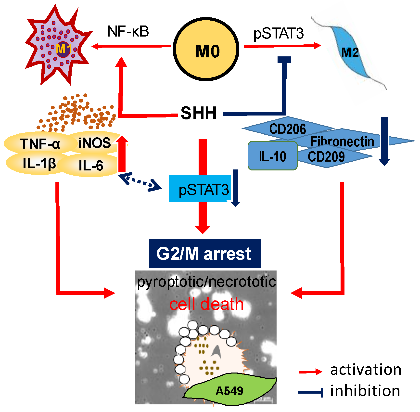 Cancers 12 00726 g009
