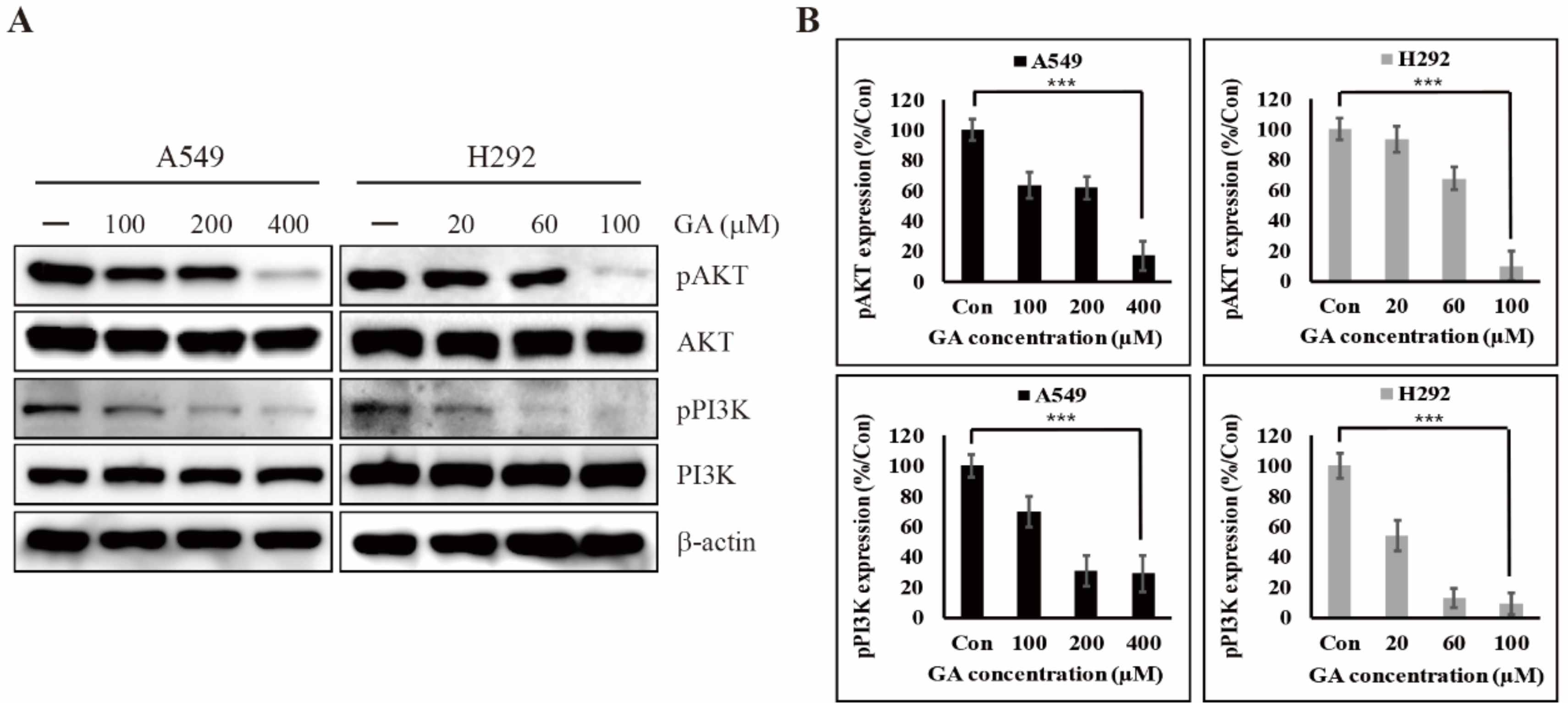 Cancers 12 00727 g003 Cancers 12 00727 g003
