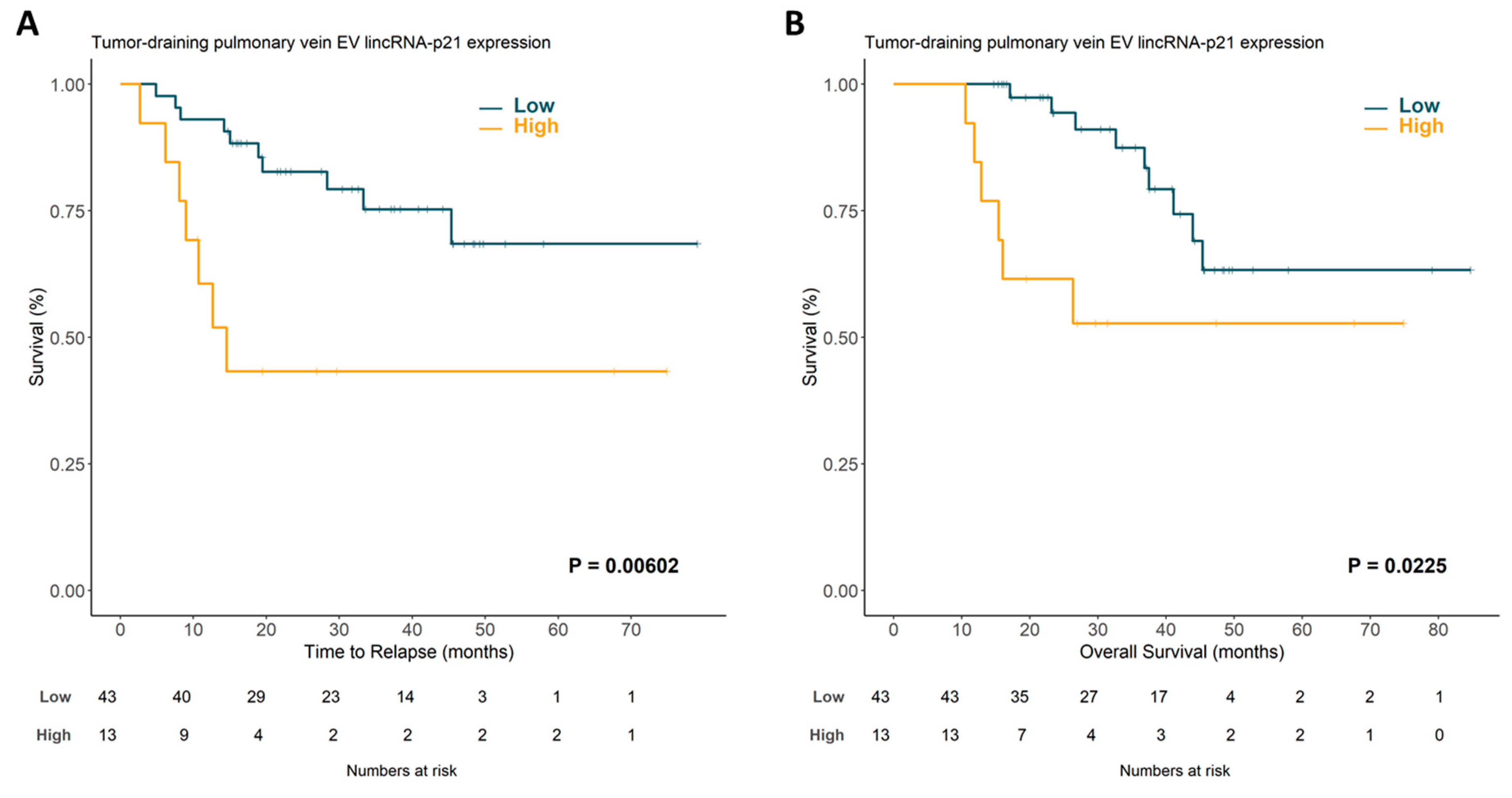 Cancers 12 00734 g001 Cancers 12 00734 g001