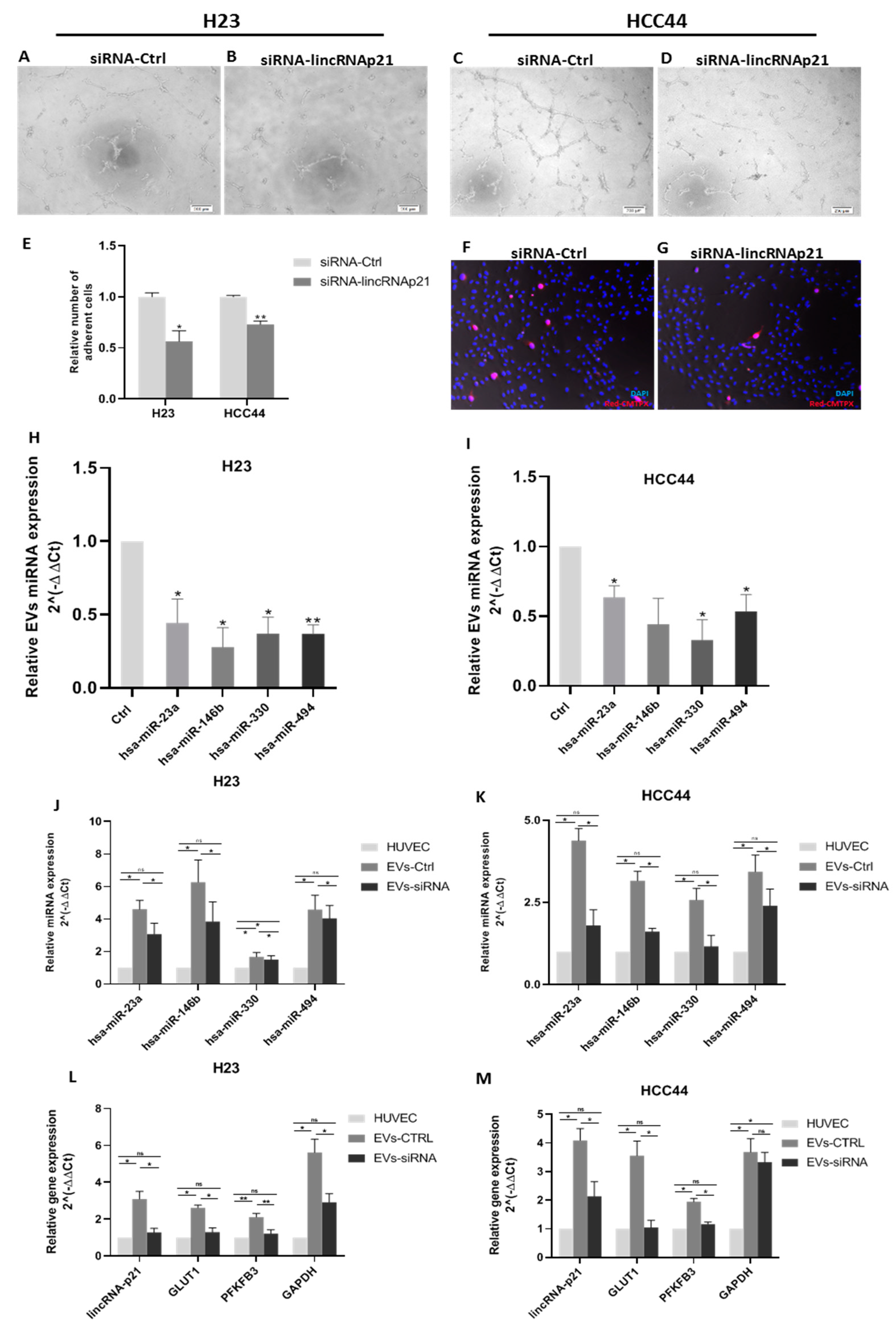 Cancers 12 00734 g003 Cancers 12 00734 g003