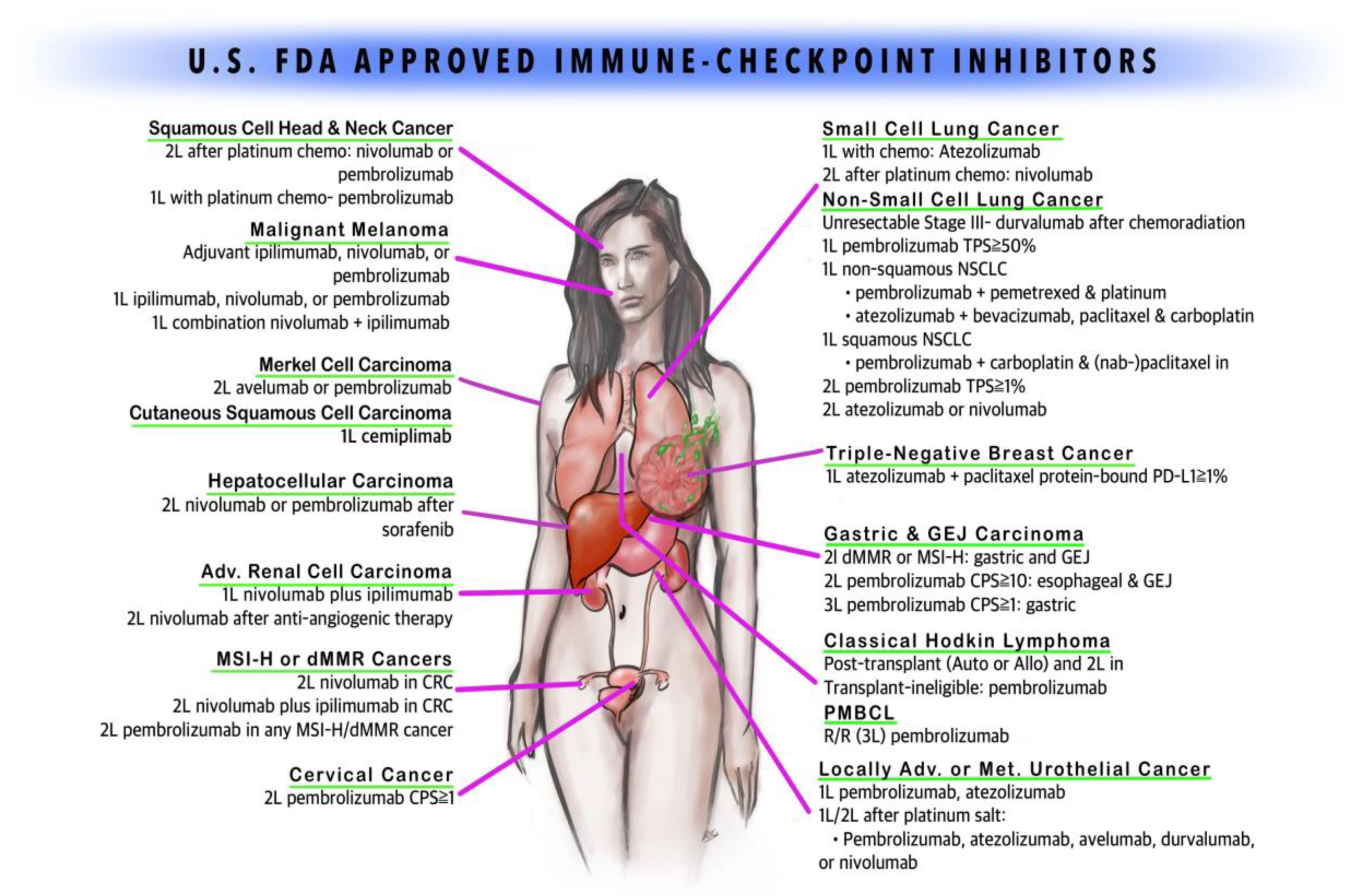 can a blood test detect covid 19 virus