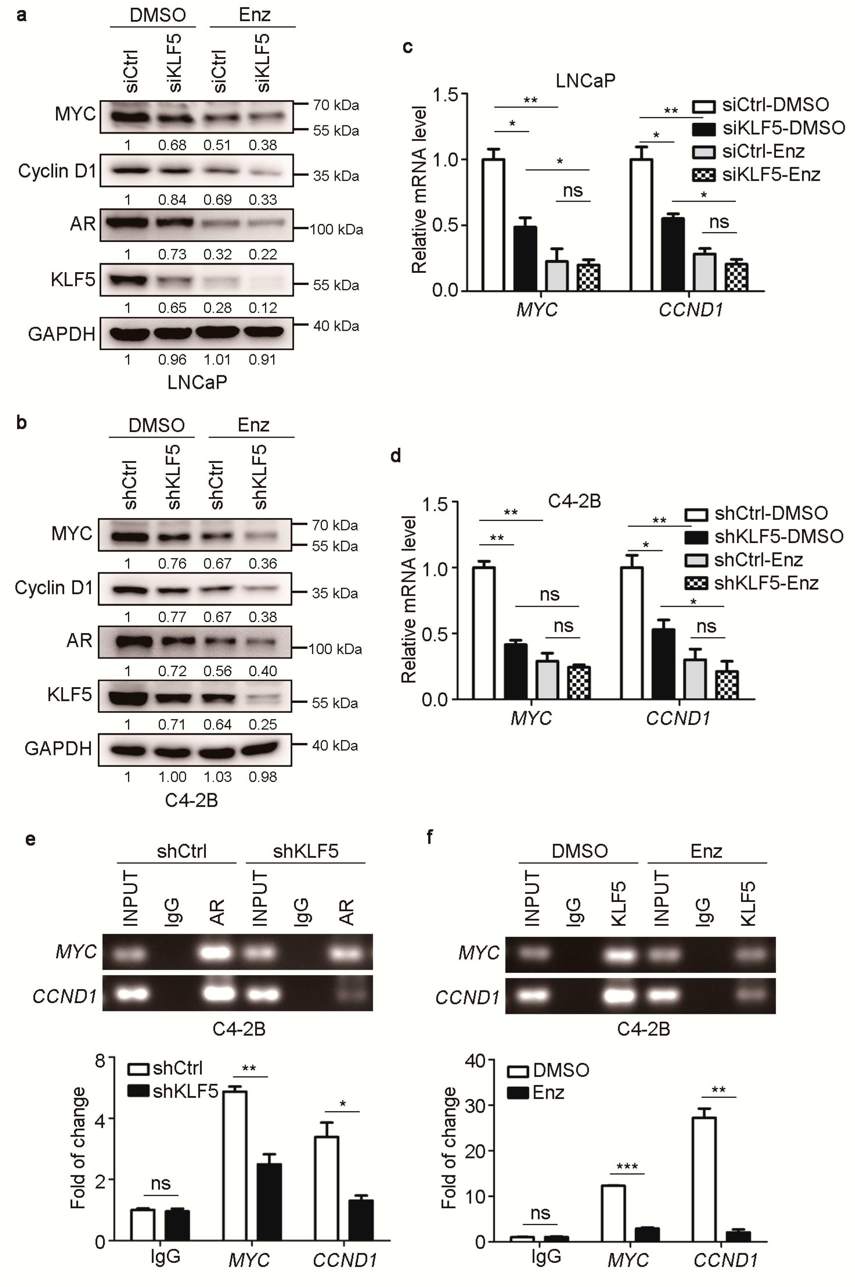 Cancers 12 00748 g005 Cancers 12 00748 g005