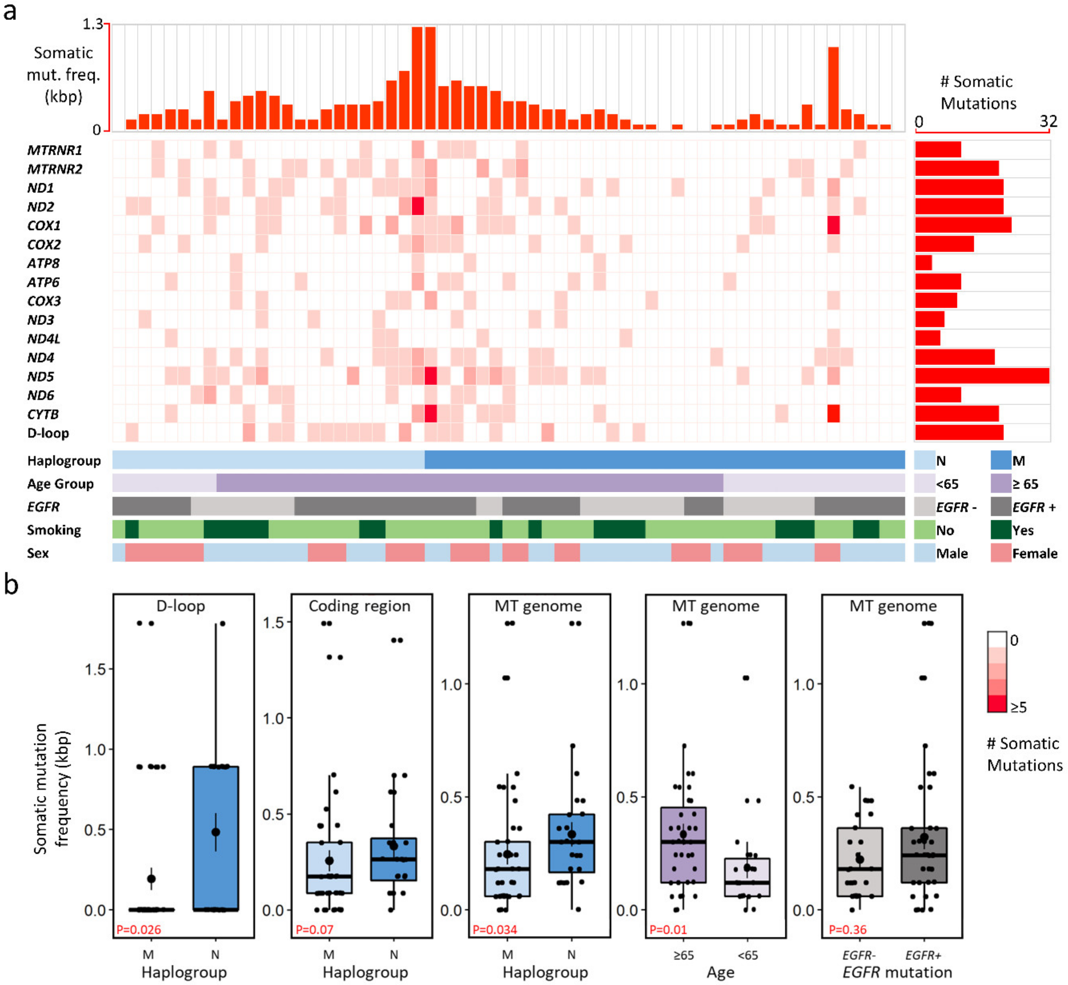 Cancers 12 00755 g002 Cancers 12 00755 g002
