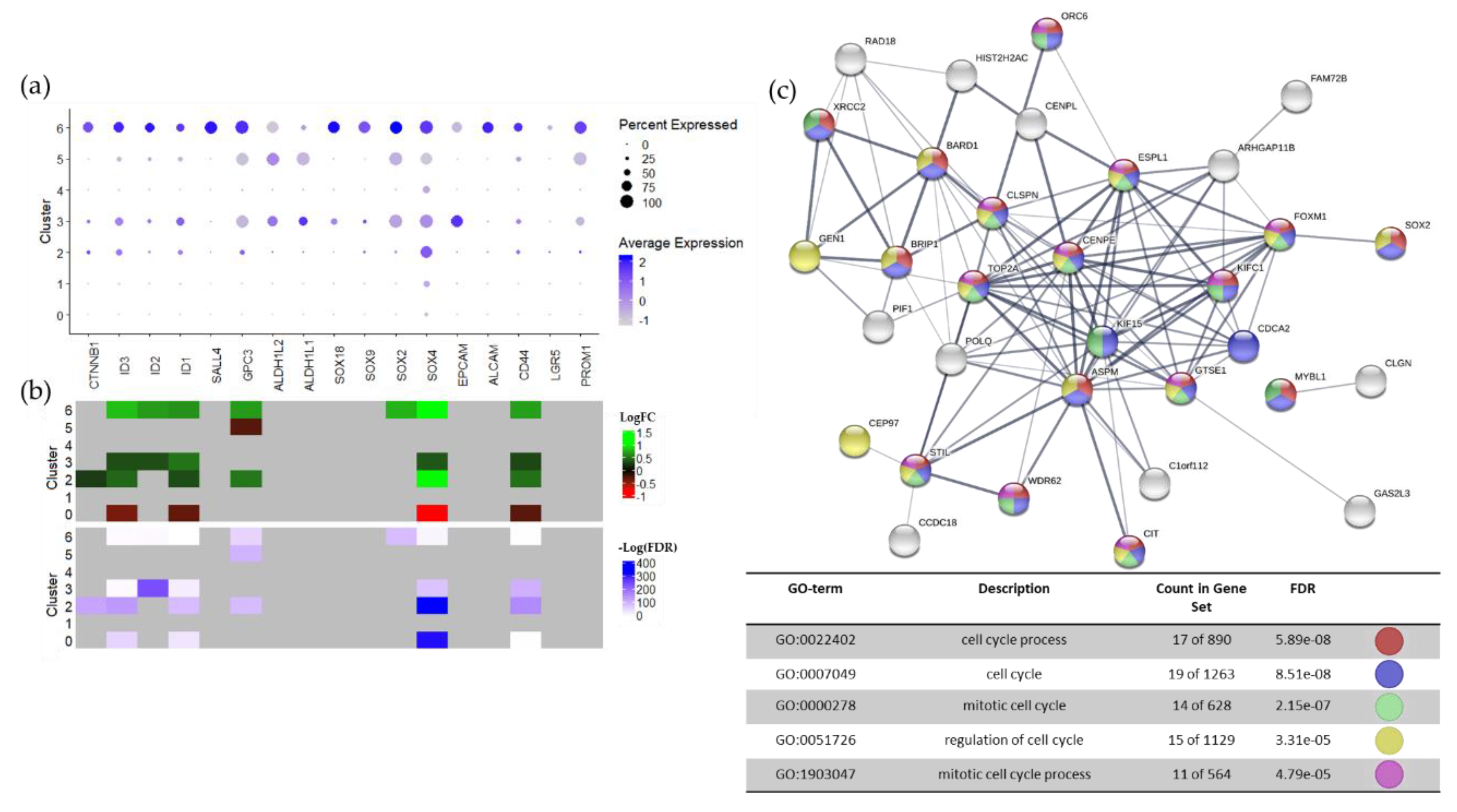Cancers 12 00756 g004