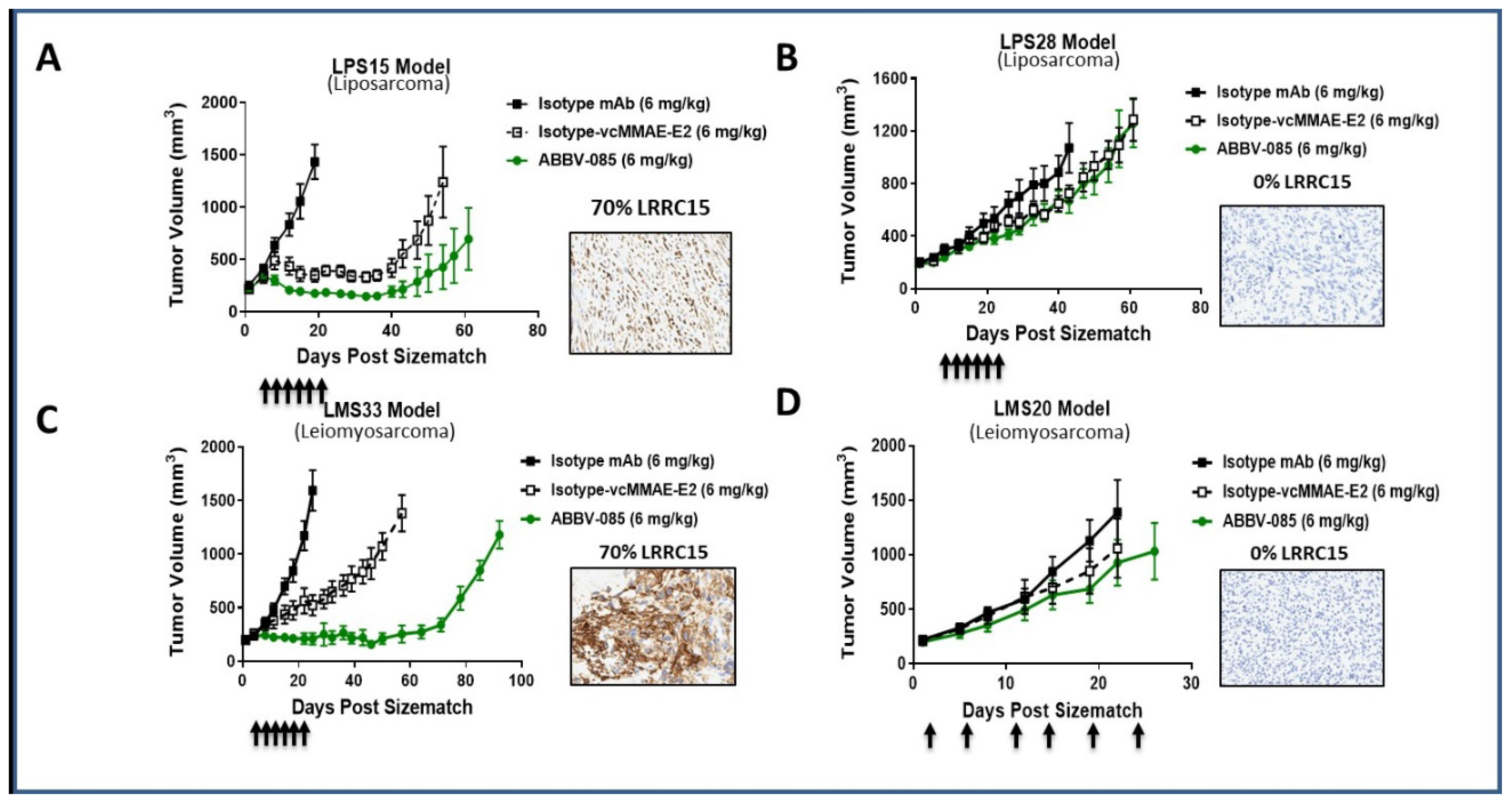 Cancers 12 00757 g003 Cancers 12 00757 g003