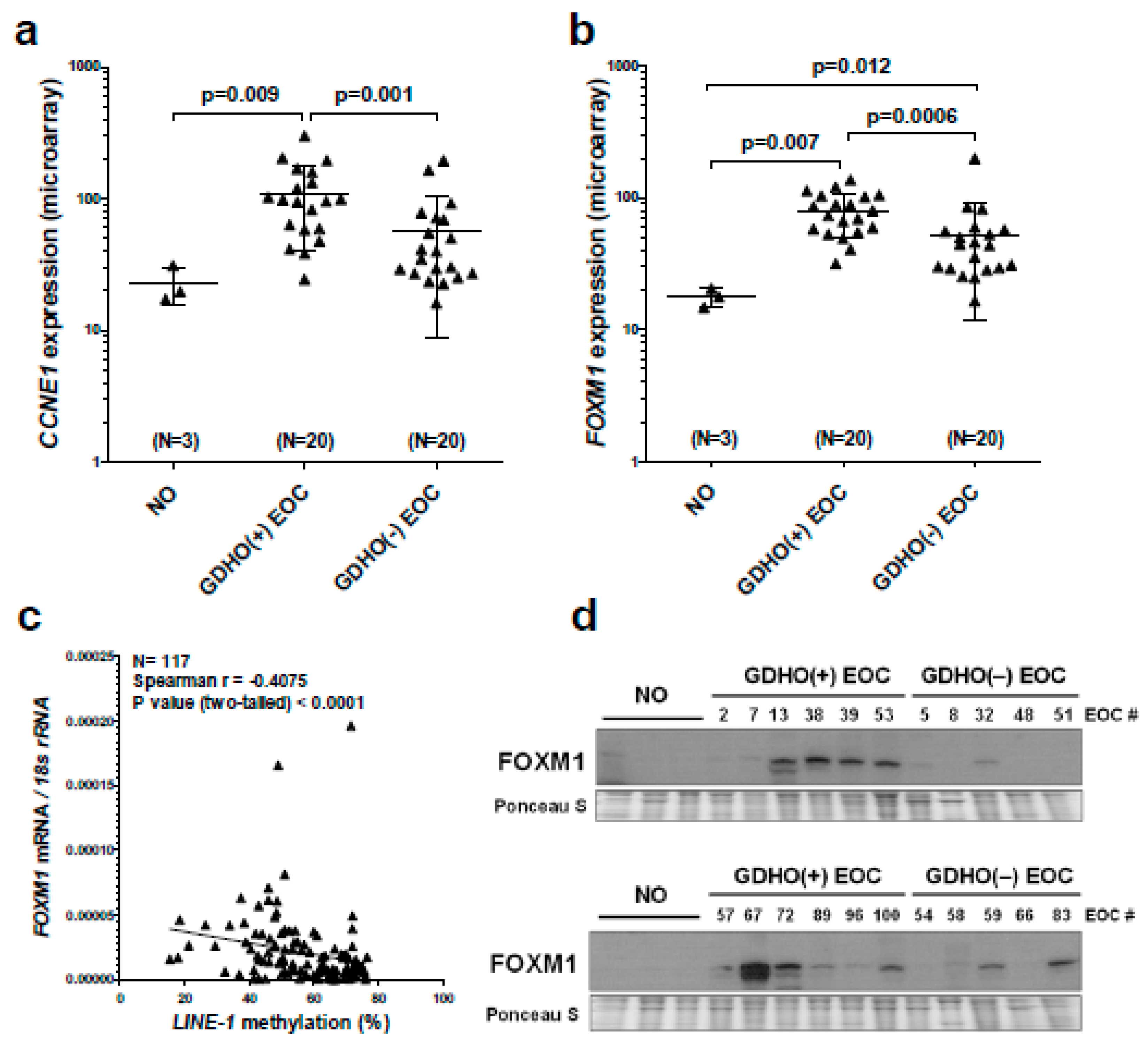 Cancers 12 00764 g003