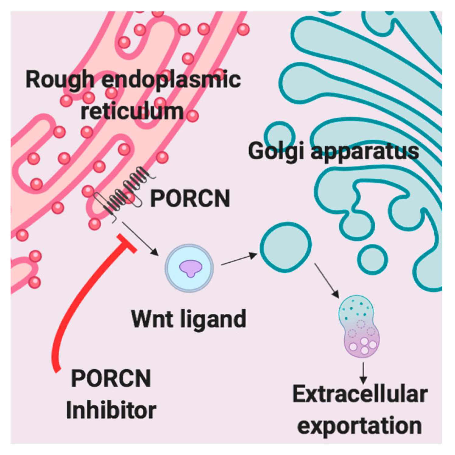 Cancers 12 00766 g001