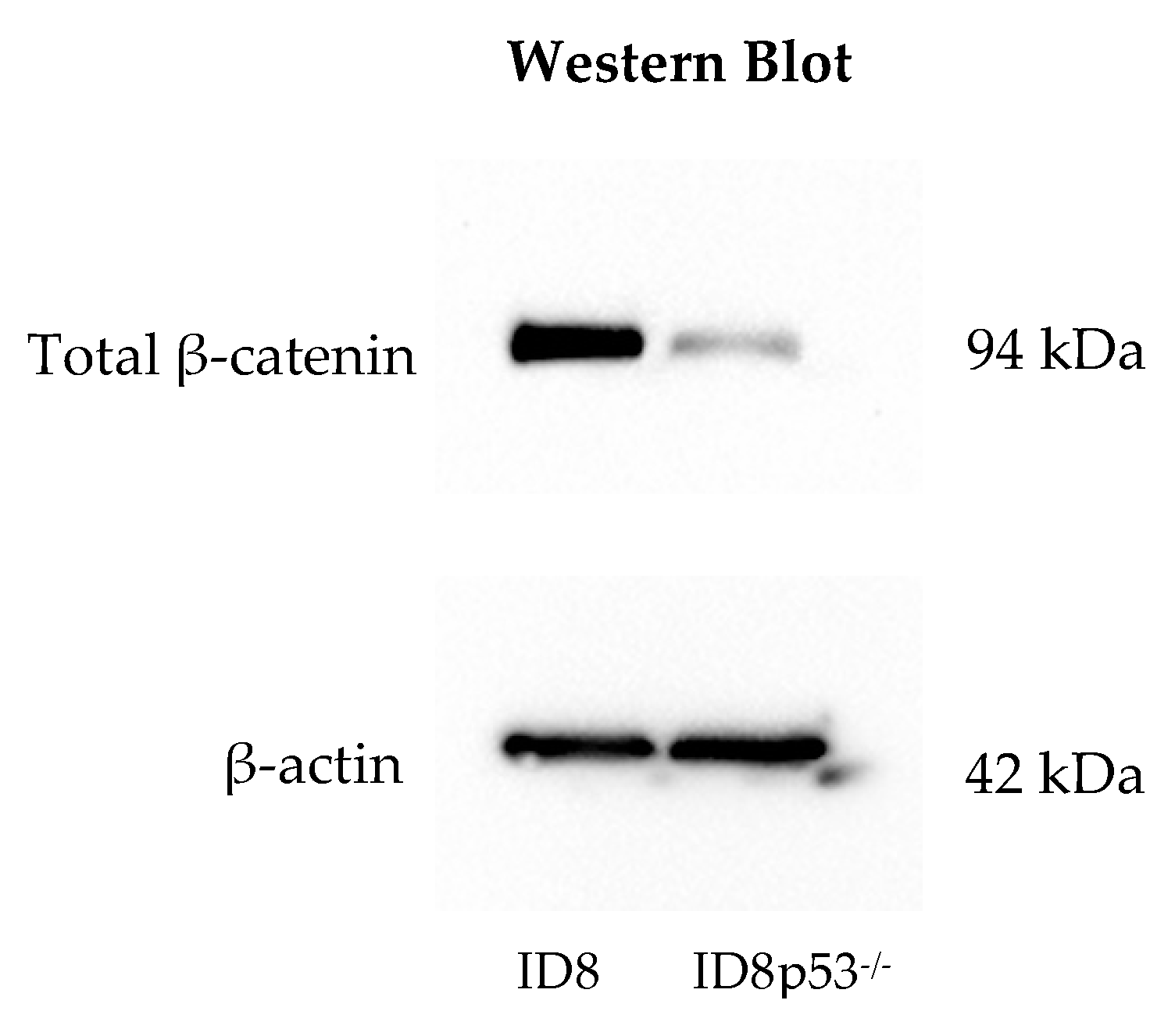 Cancers 12 00766 g004a