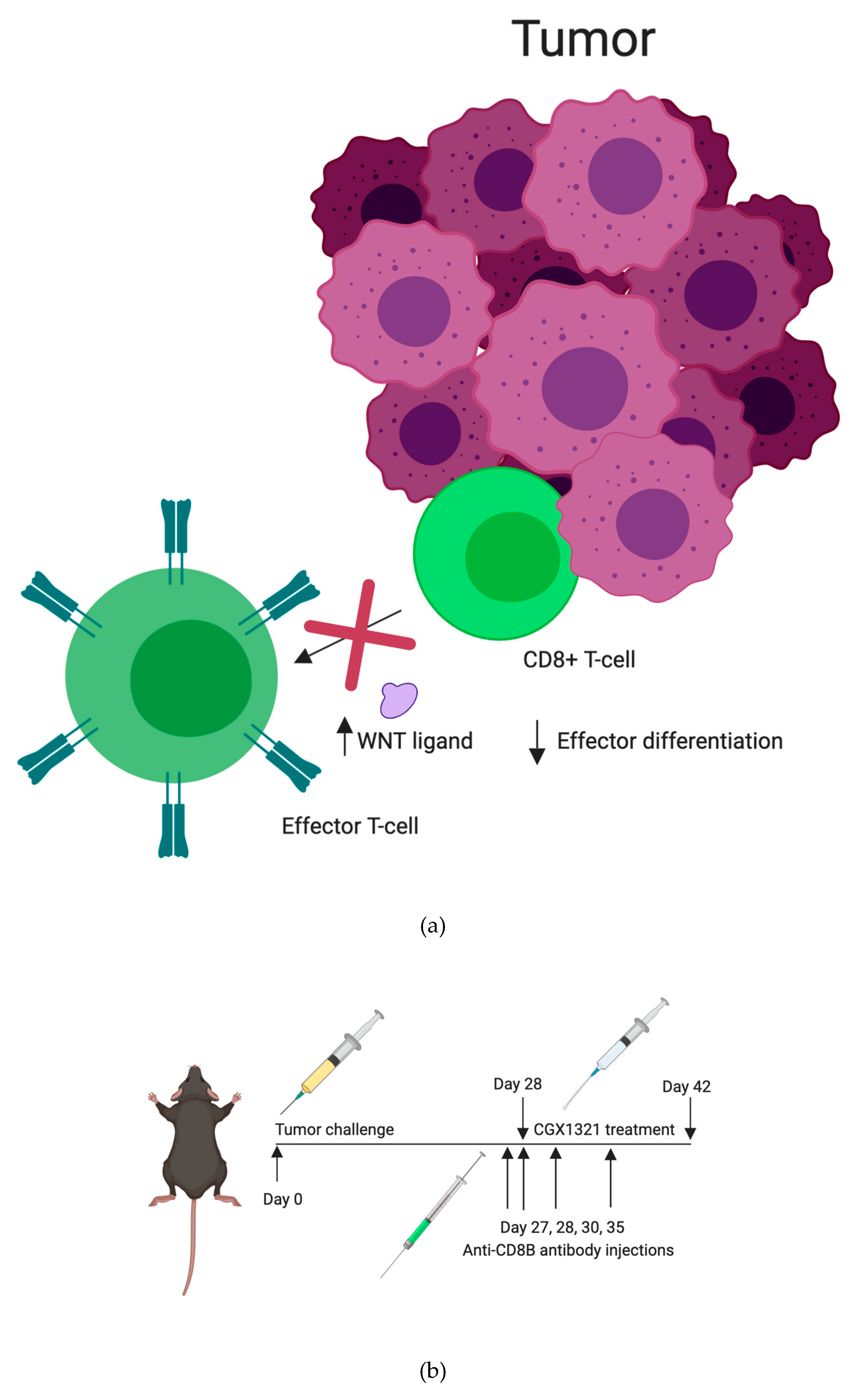 Cancers 12 00766 g007a