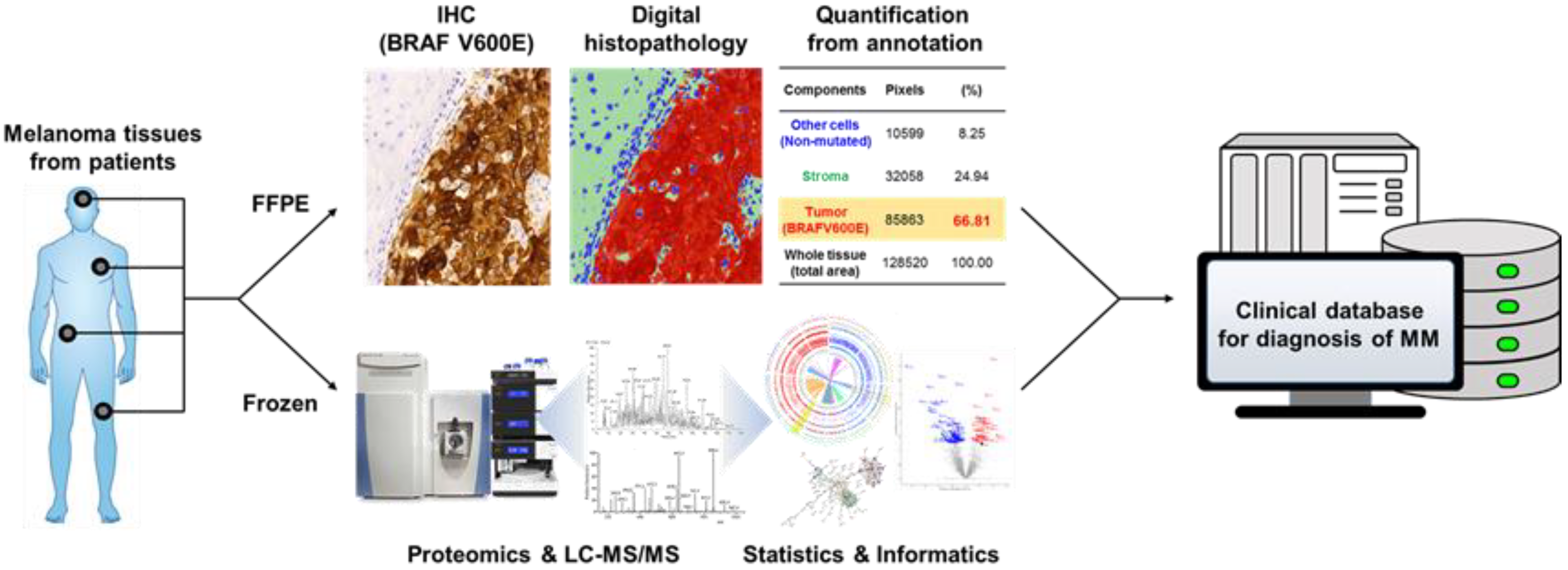 Cancers 12 00767 g004 Cancers 12 00767 g004