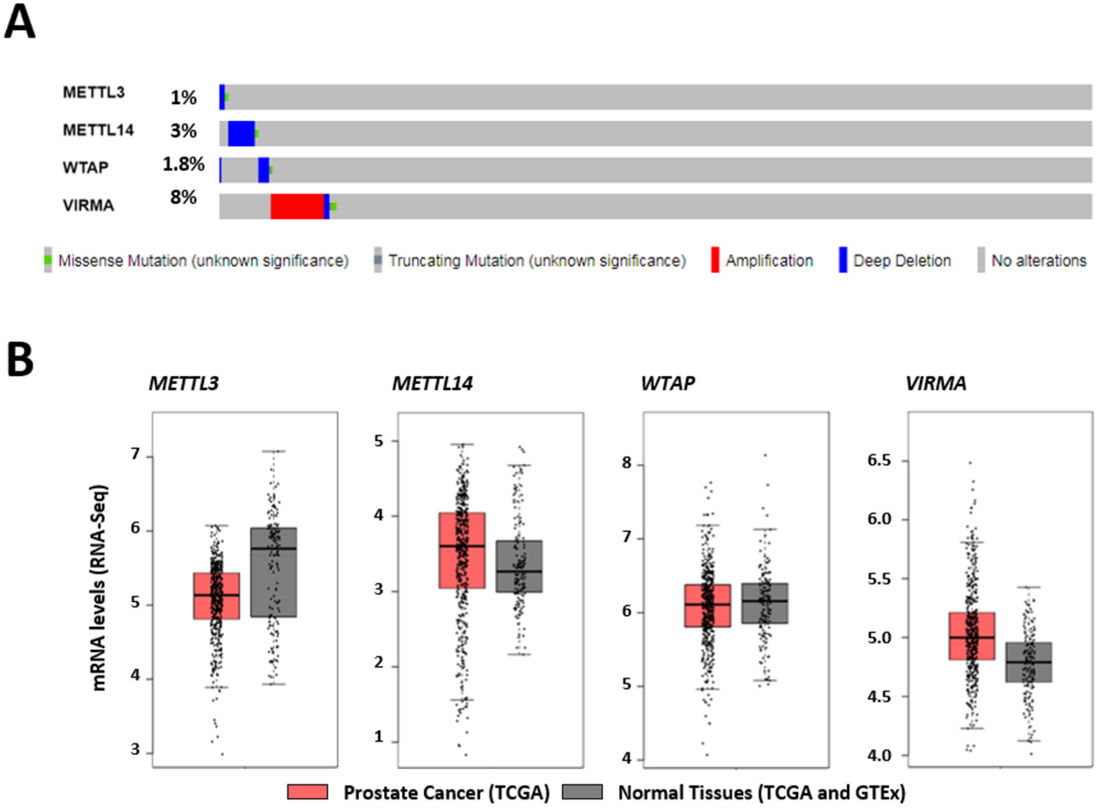 Cancers 12 00771 g001a