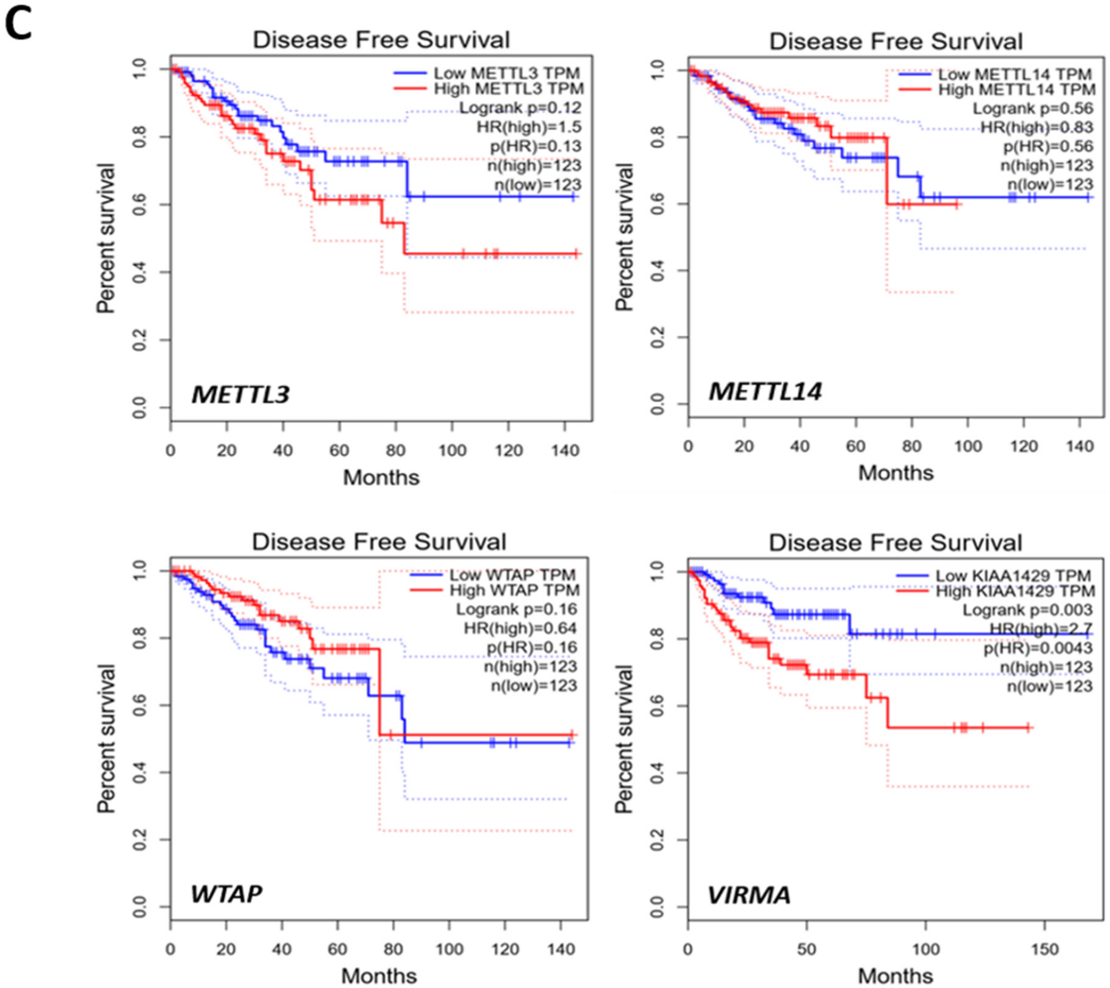 Cancers 12 00771 g001b