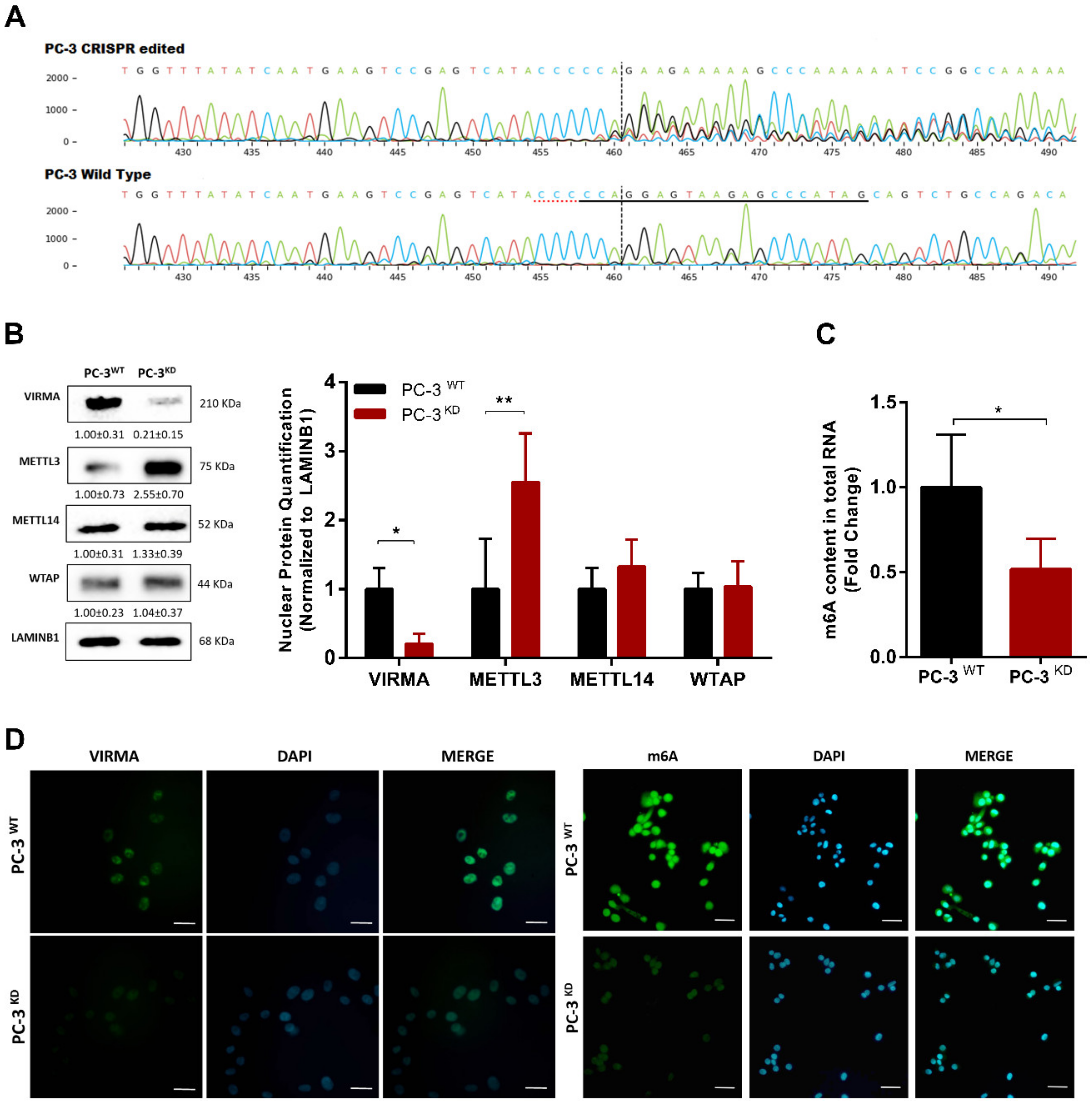 Cancers 12 00771 g003