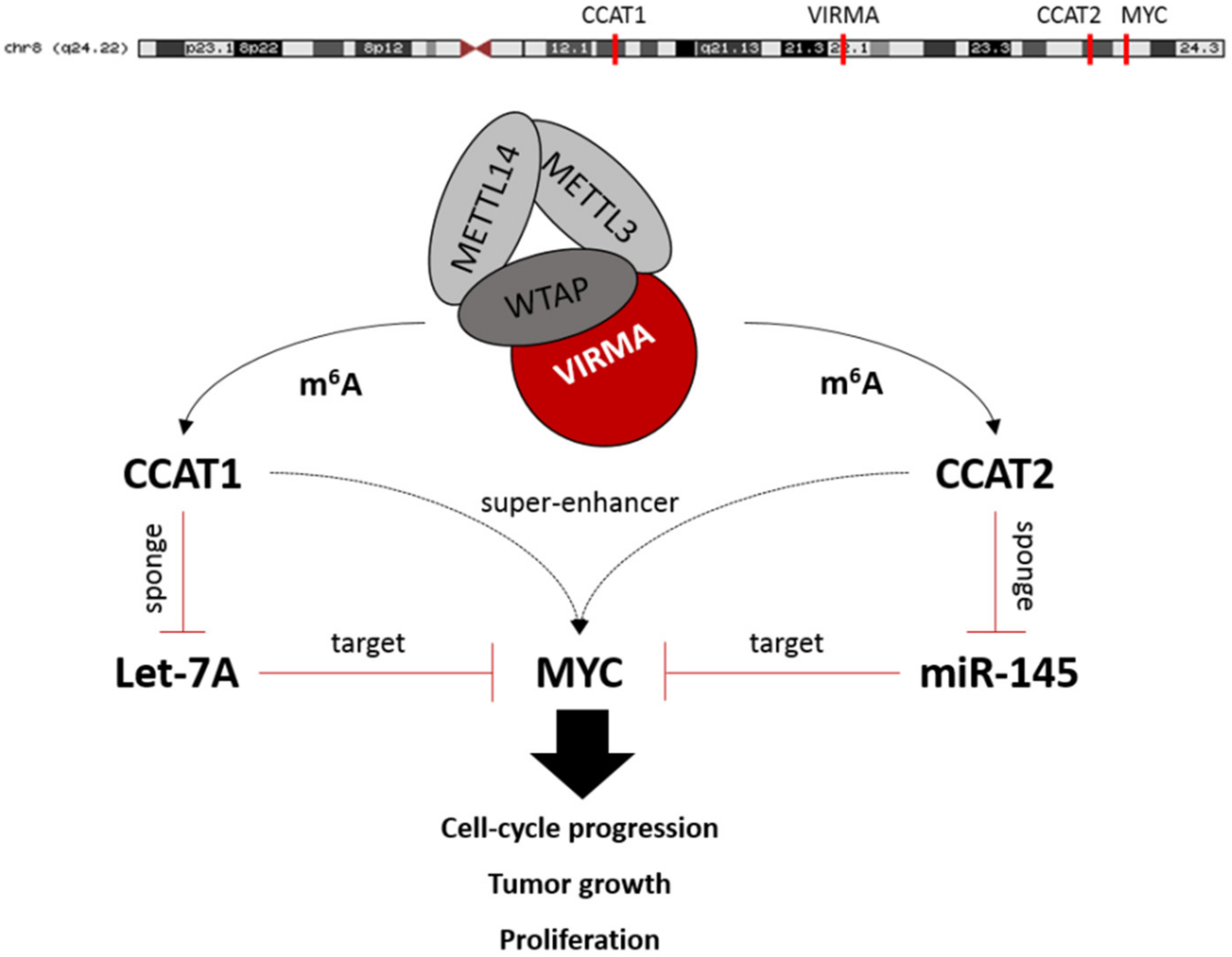 Cancers 12 00771 g008