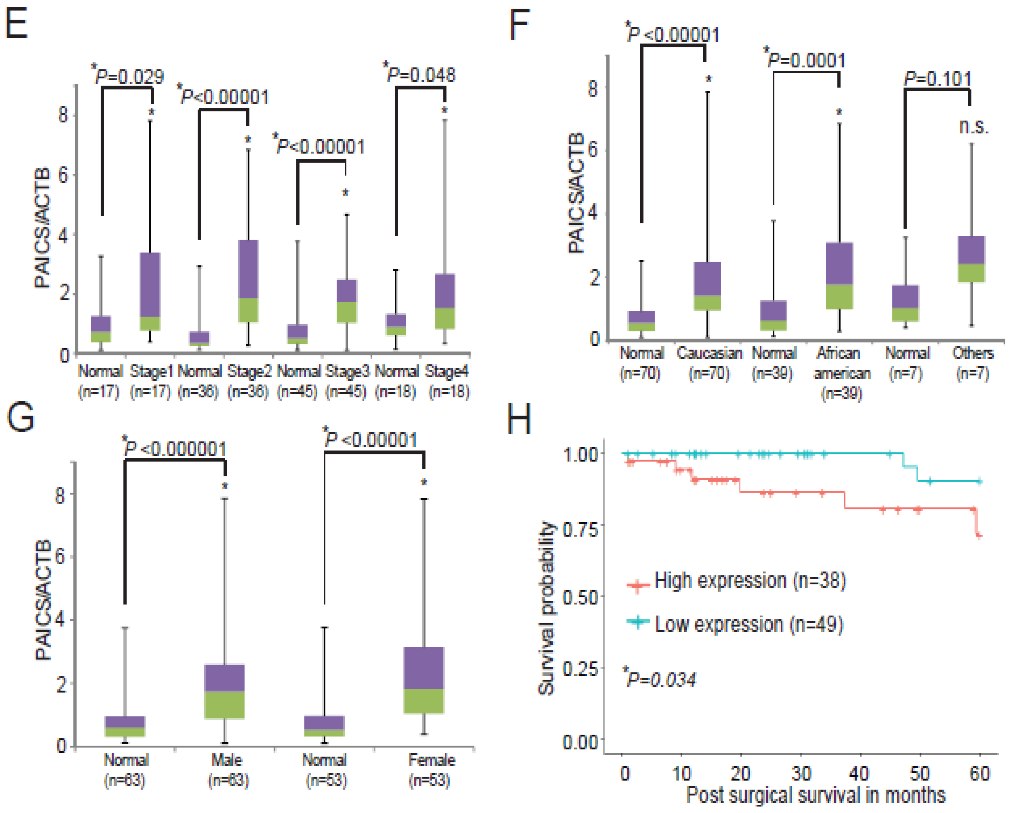 Cancers 12 00772 g001b Cancers 12 00772 g001b
