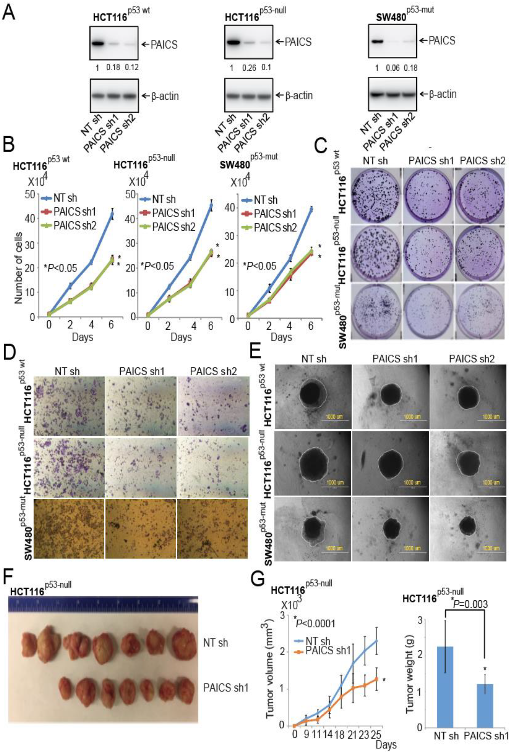 Cancers 12 00772 g003 Cancers 12 00772 g003