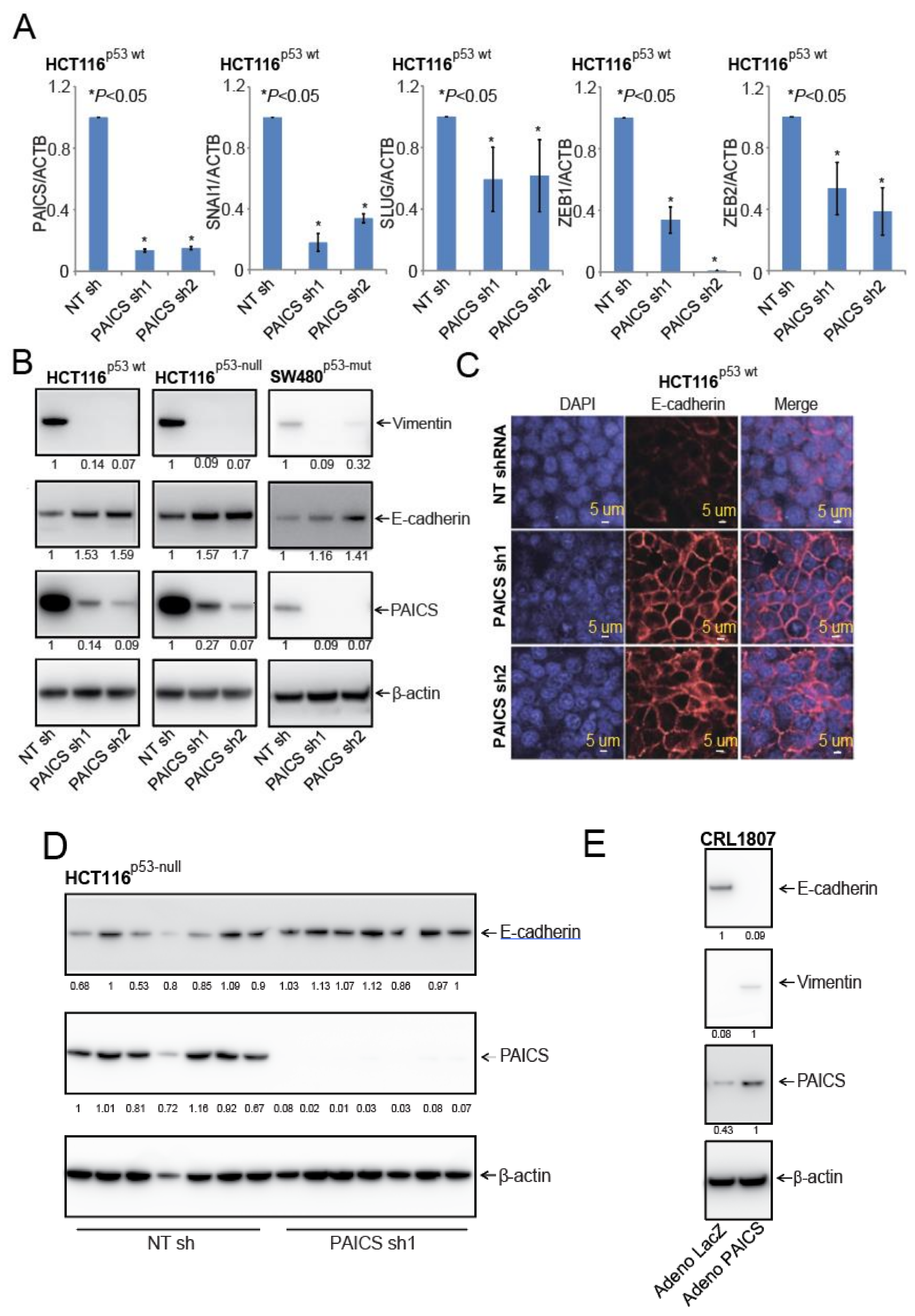 Cancers 12 00772 g006 Cancers 12 00772 g006