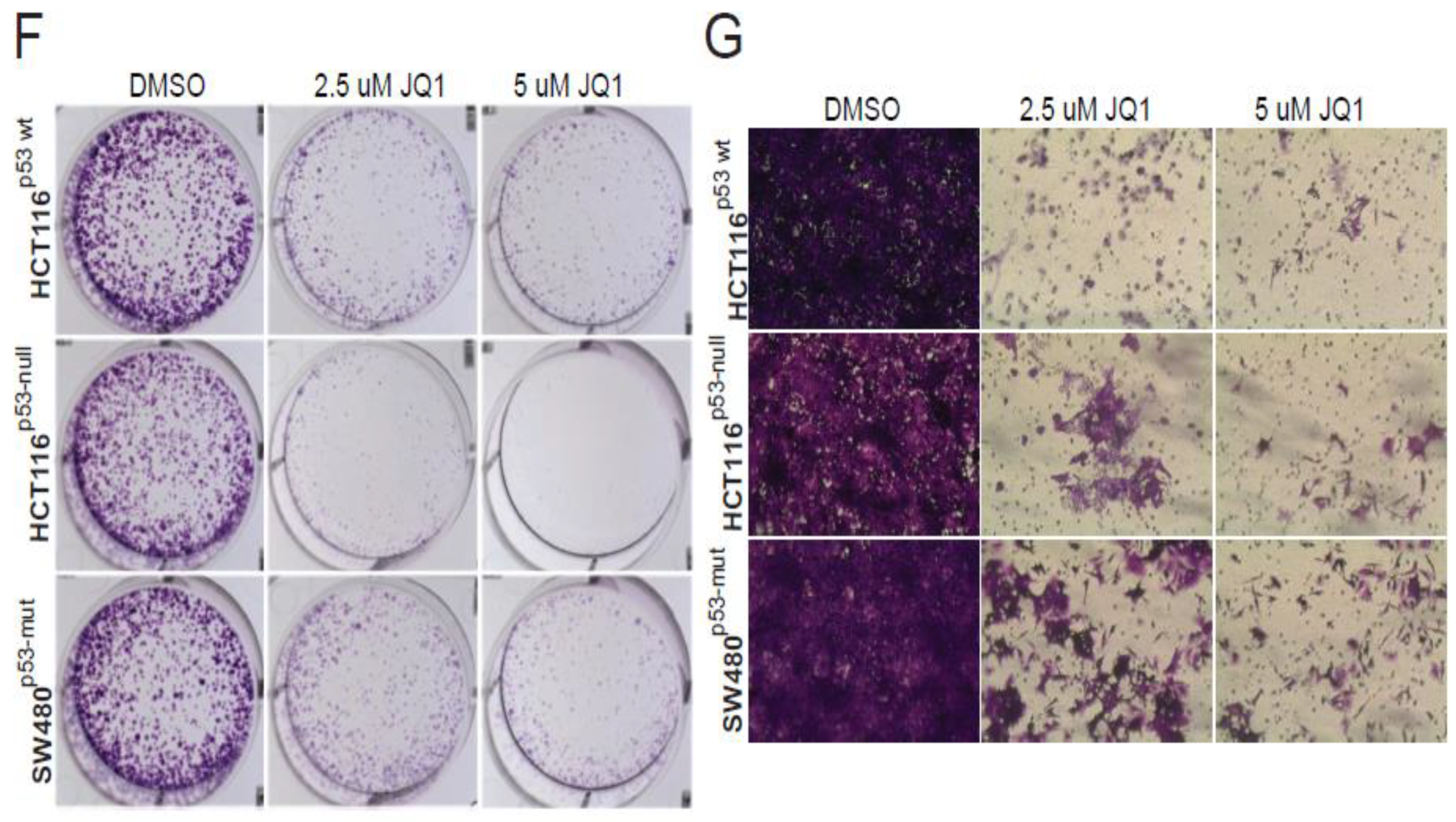 Cancers 12 00772 g008b Cancers 12 00772 g008b