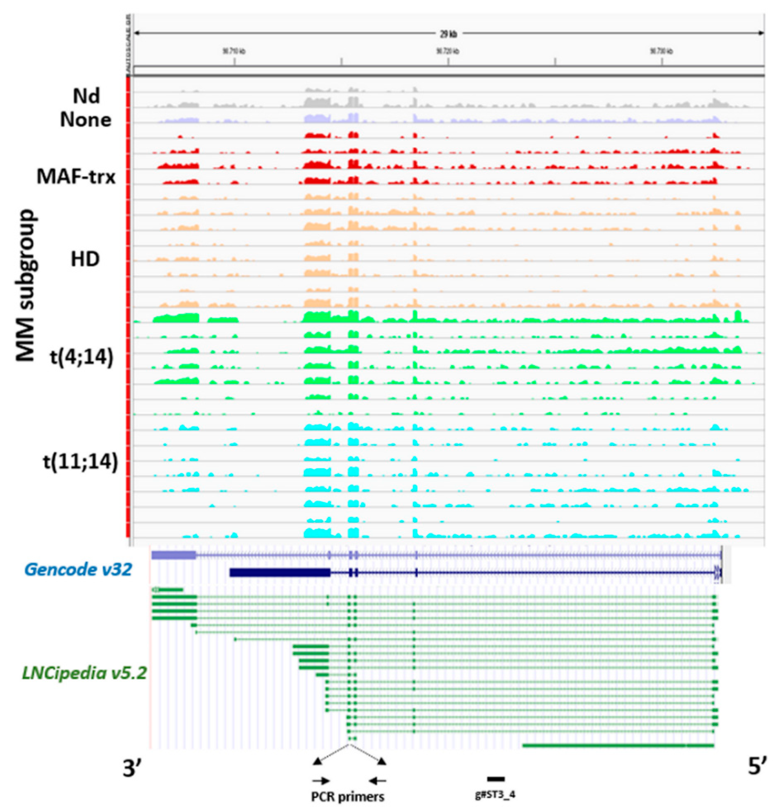 Cancers 12 00782 g002 Cancers 12 00782 g002