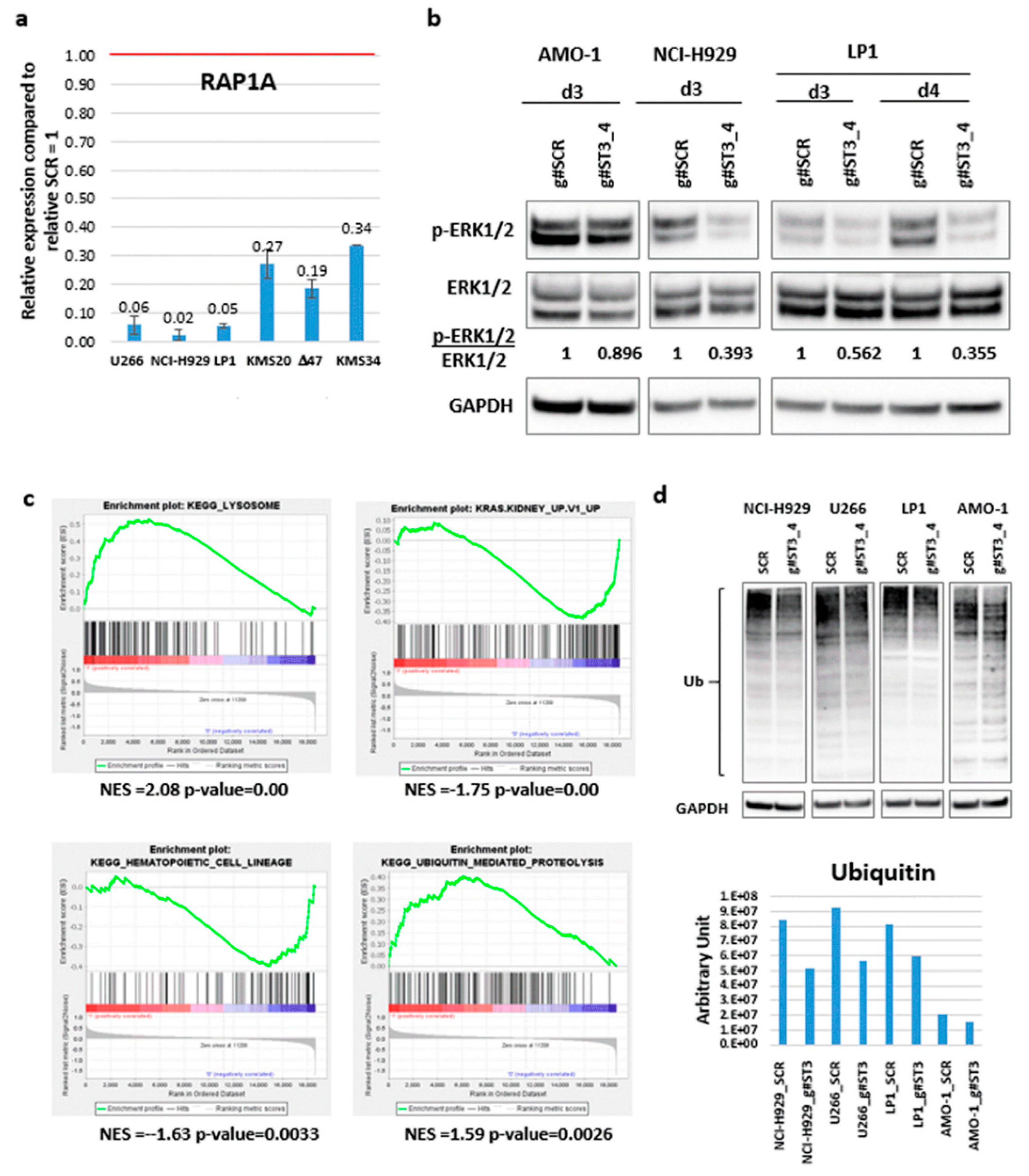 Cancers 12 00782 g006 Cancers 12 00782 g006